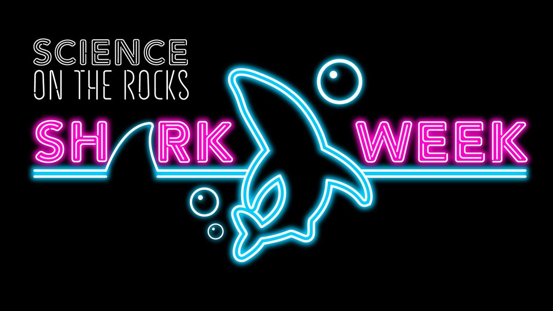 Science on the Rocks: Shark Week