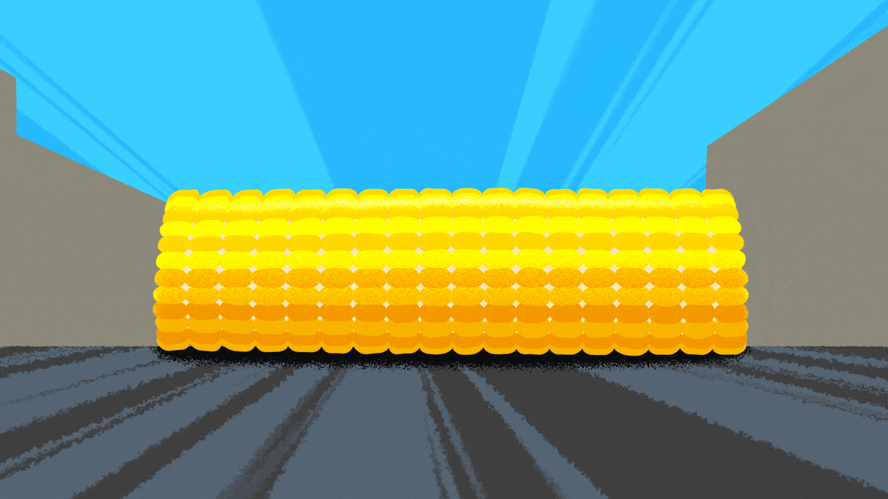 Animated illustration of a giant ear of corn rolling down a city street.