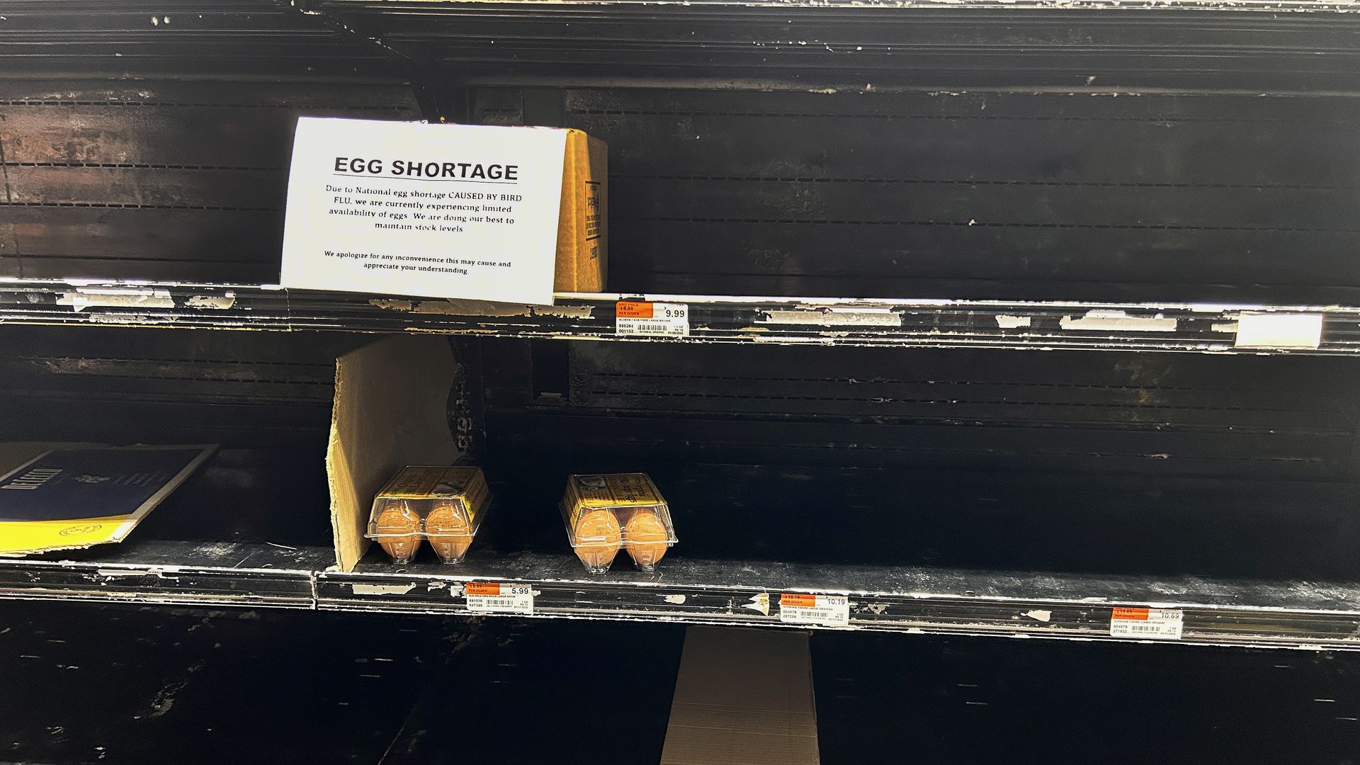 A photo of eggs