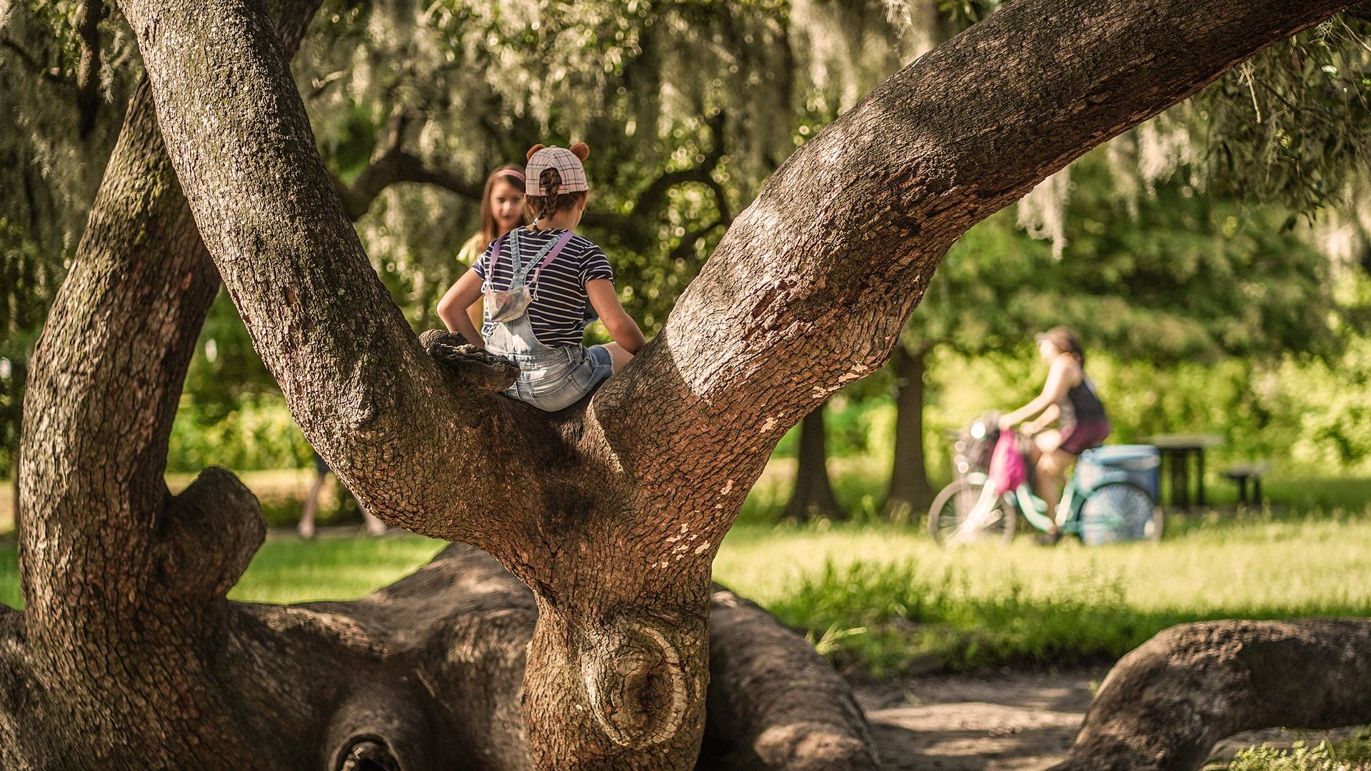 Photo shows children climbing a tree in City Park and someone riding a bicycle in the background