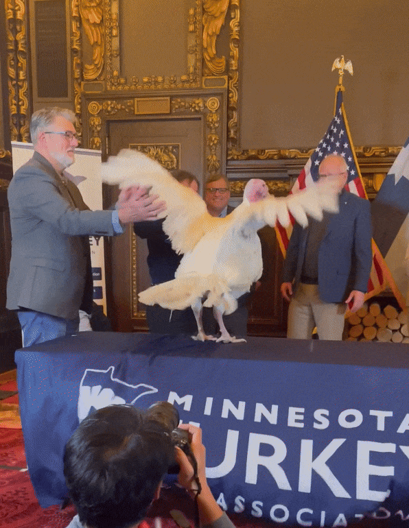 a turkey