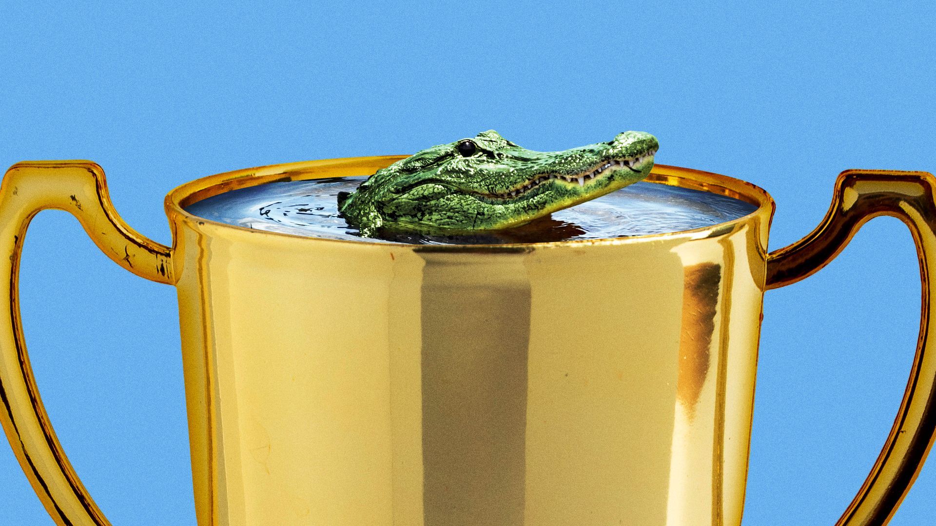 Illustration of an alligator swimming in a trophy. 