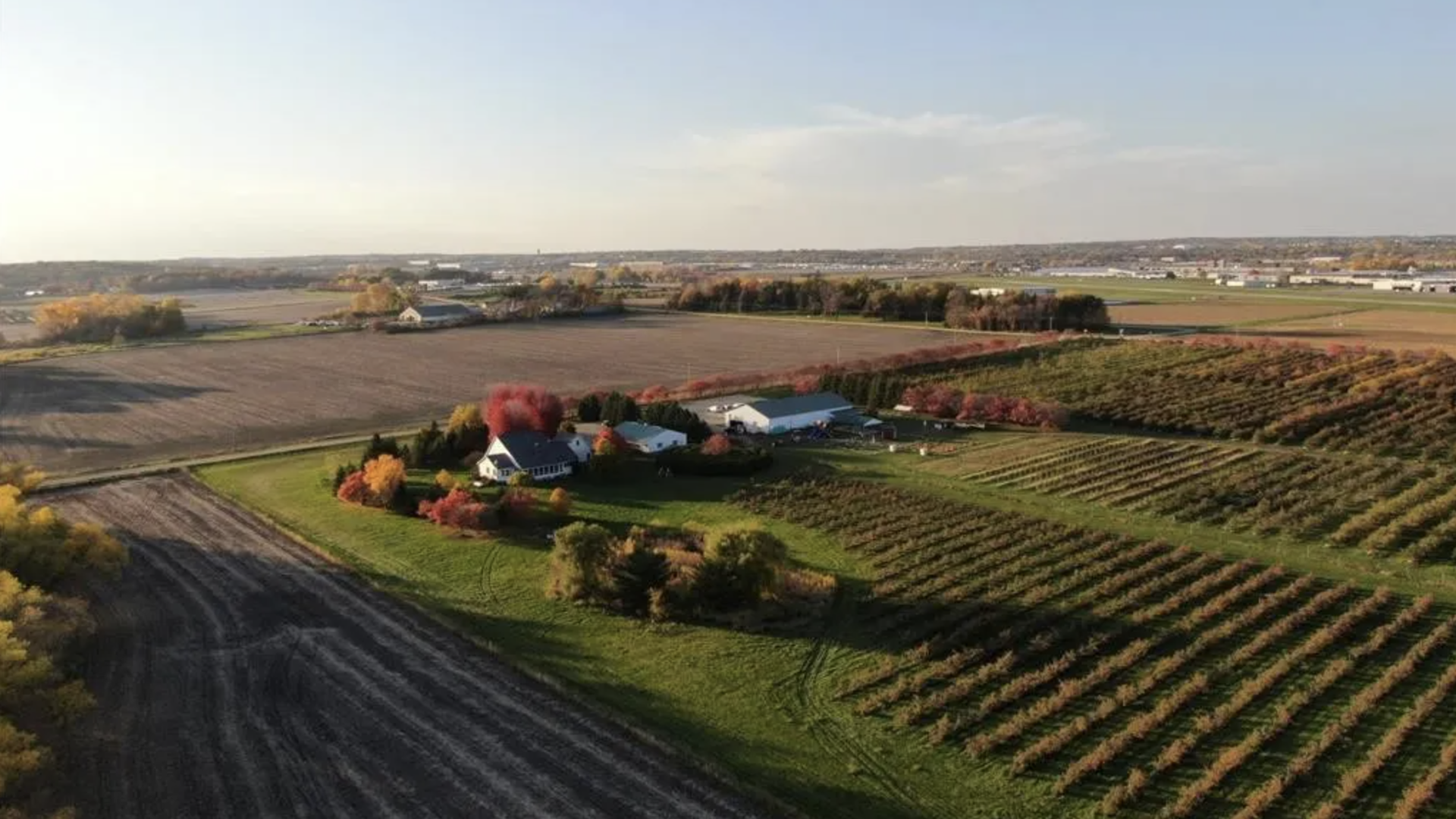 apple orchard with a white house from an aerial view