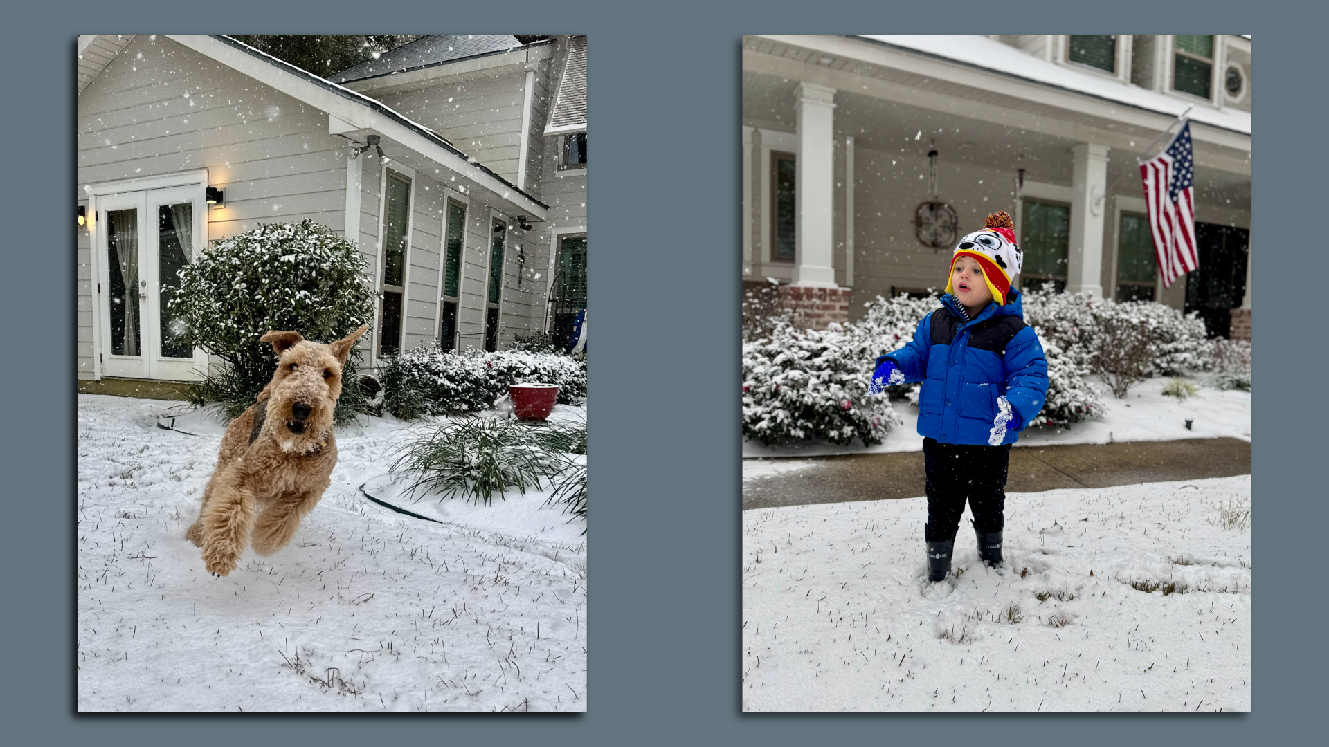 Two side by side photos of a dog and a small boy playing in the snow.