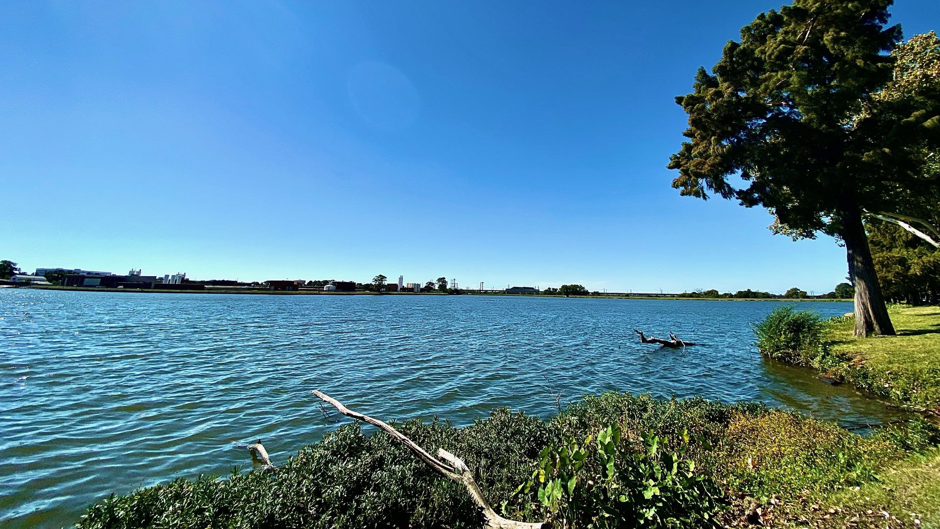 Bachman Lake