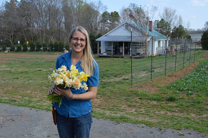 pressley-williams-daffodils