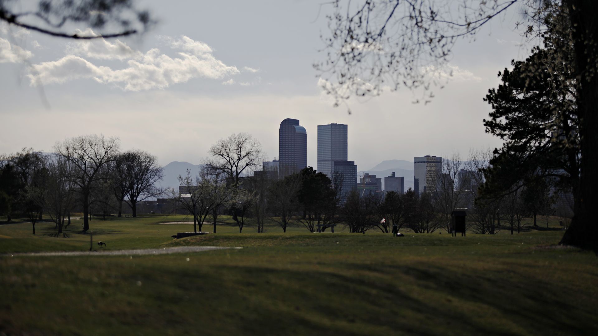 The downtown Denver skyline seen from City Park Golf Course in Denver. Photo: Katie Wood/Denver Post via Getty Images