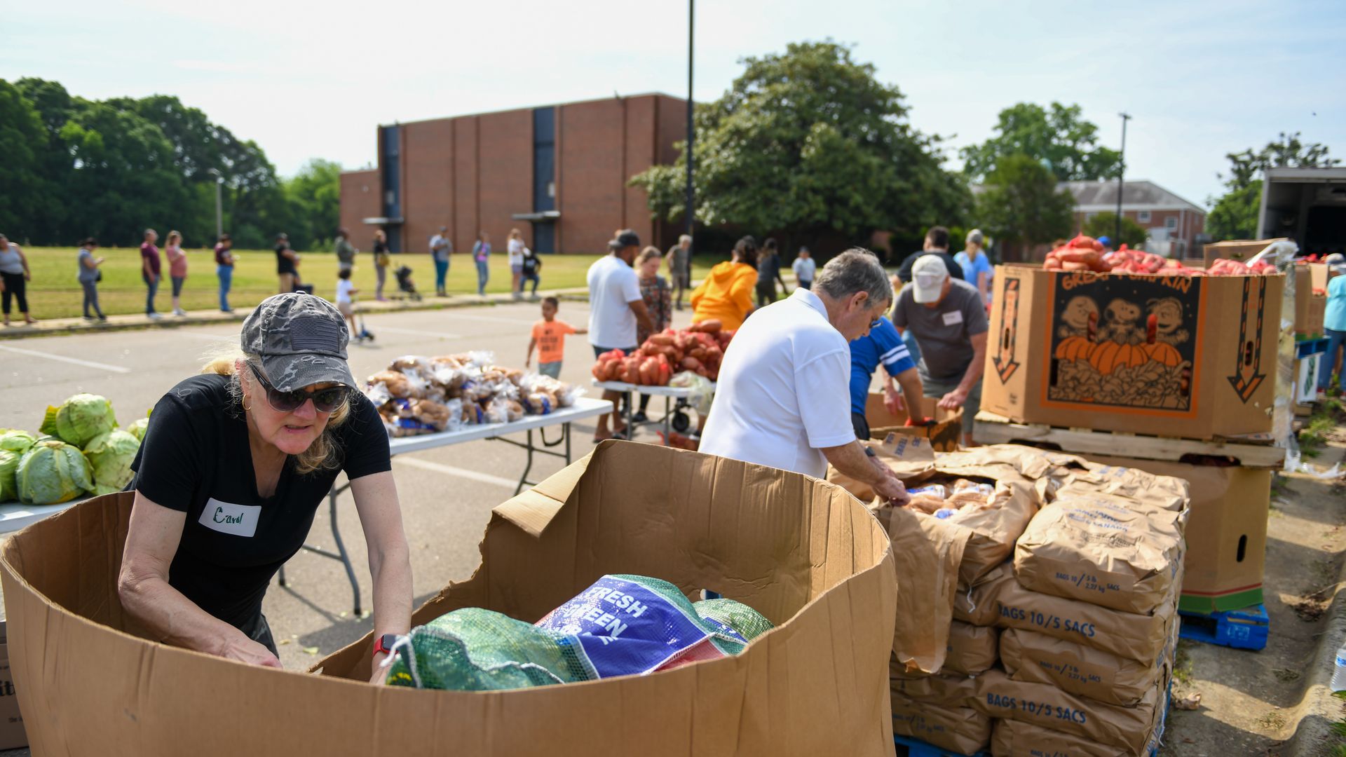 Volunteers distributing fresh vegetables outdoors near large cardboard boxes and tables with cabbages, potatoes, and pumpkins, with a long line of people waiting in the background on a sunny day.