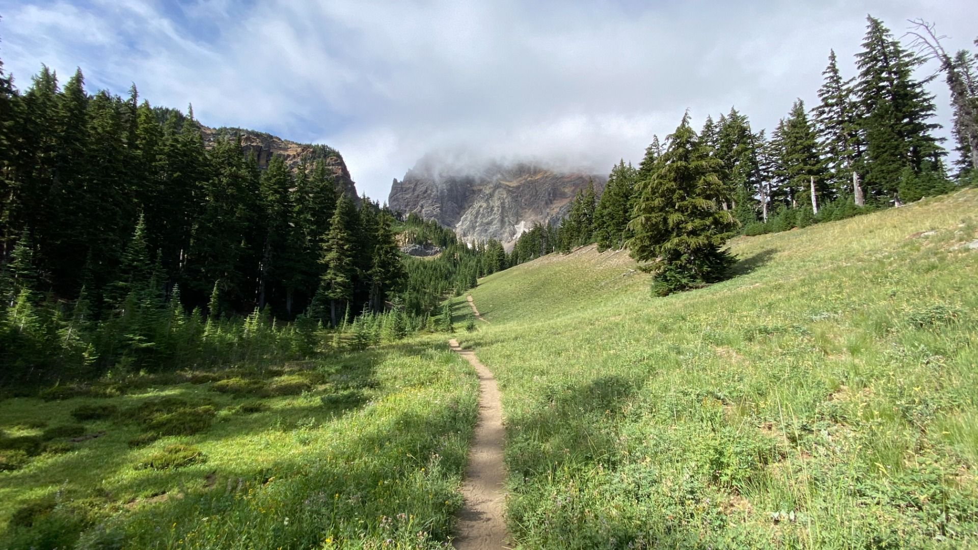 Narrow trail cutting through green meadow with tall pine trees on both sides, leading to a rocky mountain partially covered in mist under a cloudy blue sky.