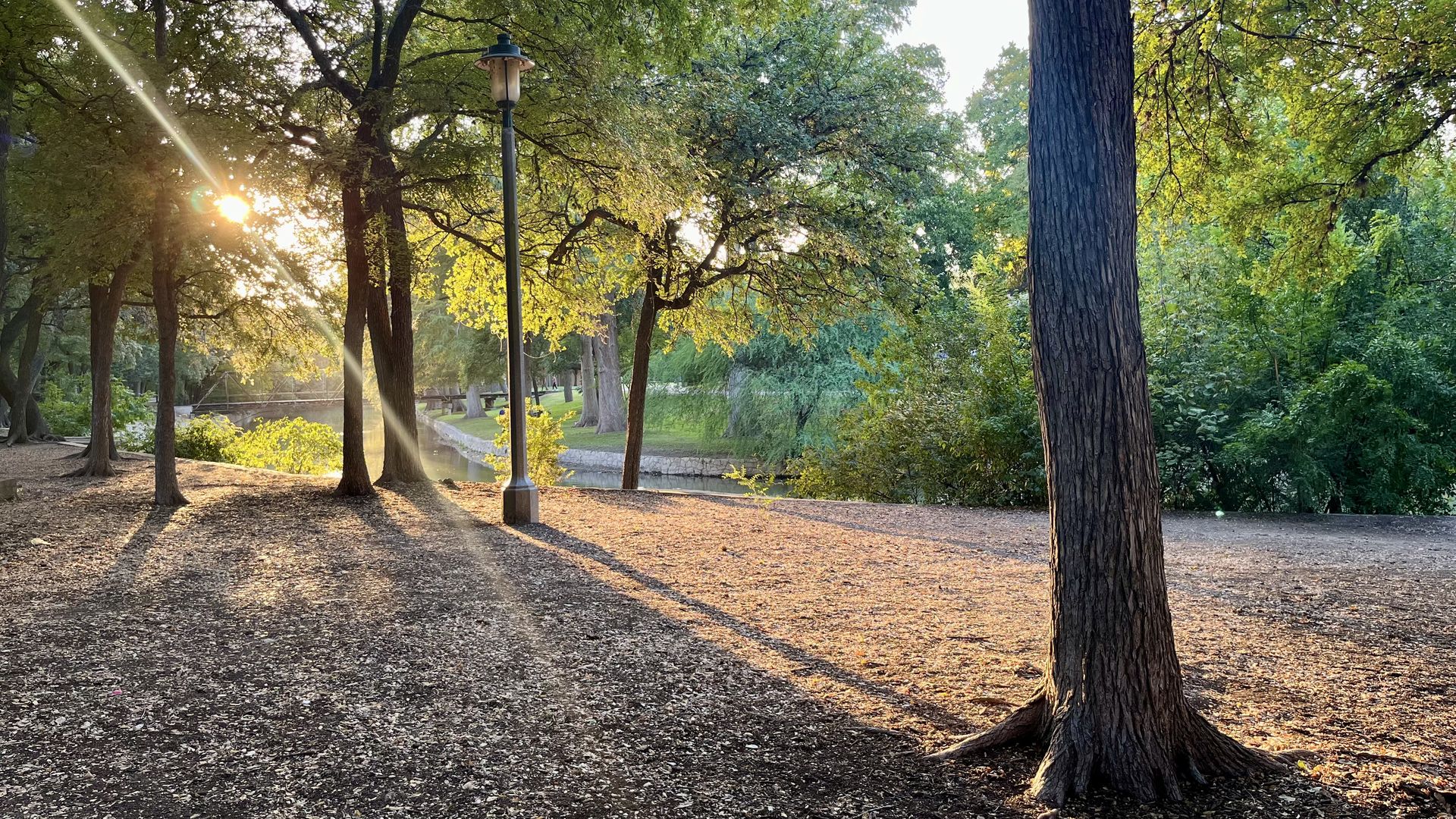 Brackenridge Park at sunset.