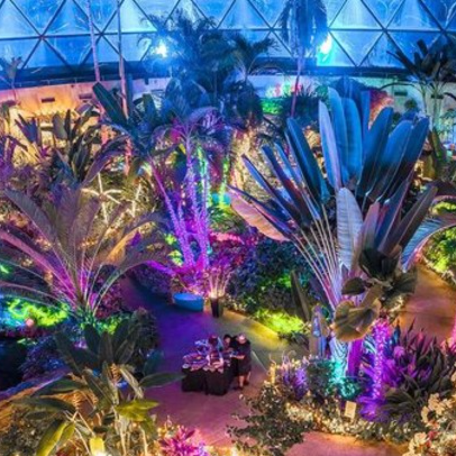 1 fab thing to go: More holiday at the Dome - Axios Des Moines