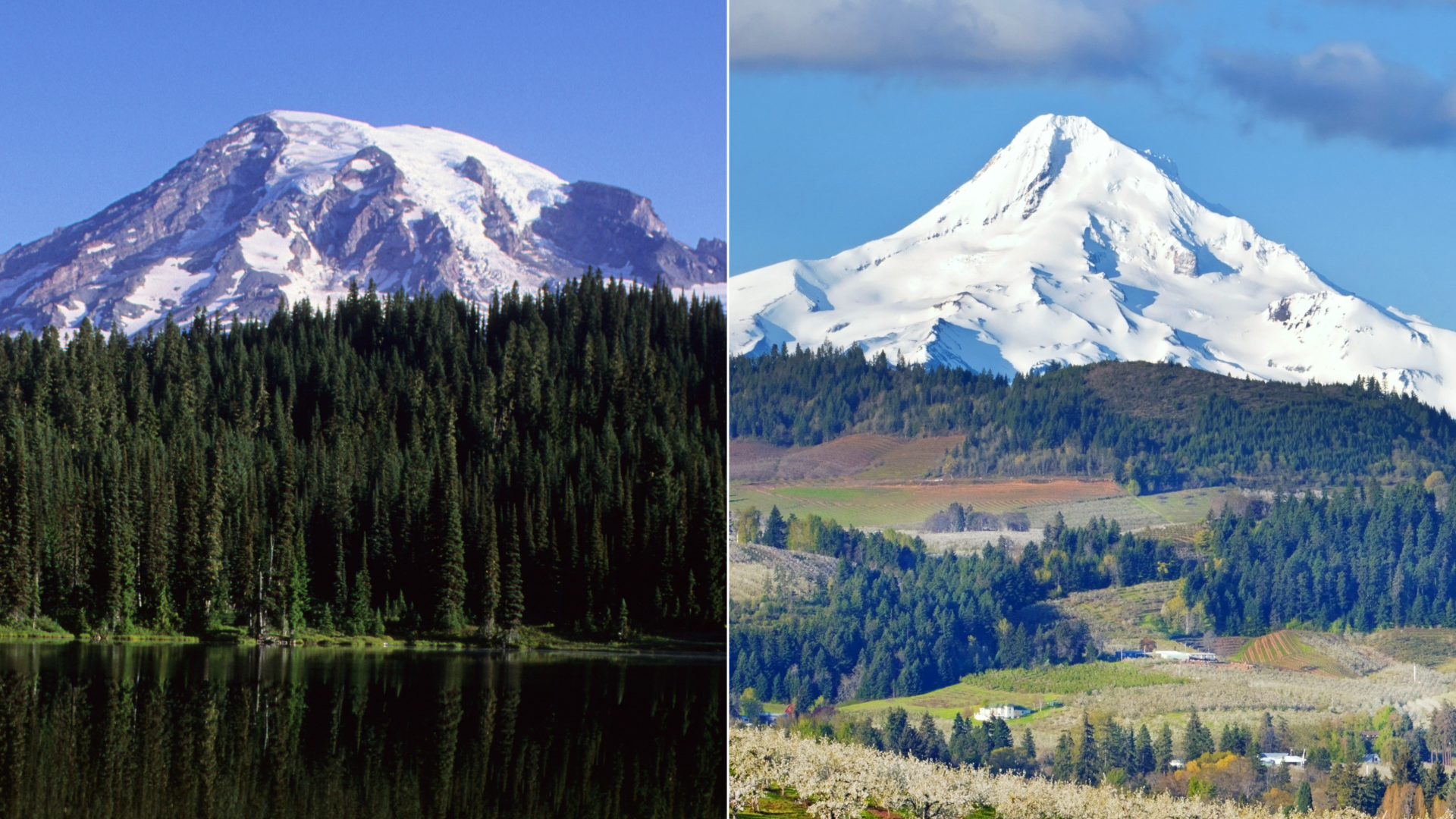 Two photos side by side of Mount Rainier on the left and Mount Hood. 