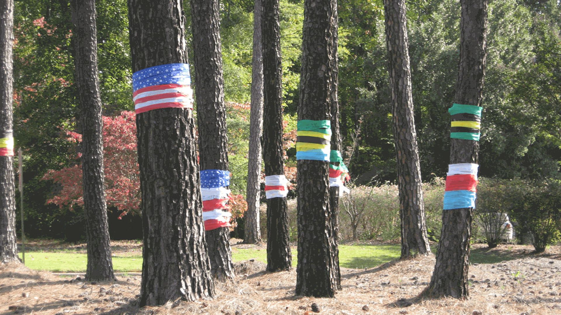 Tree-Flags