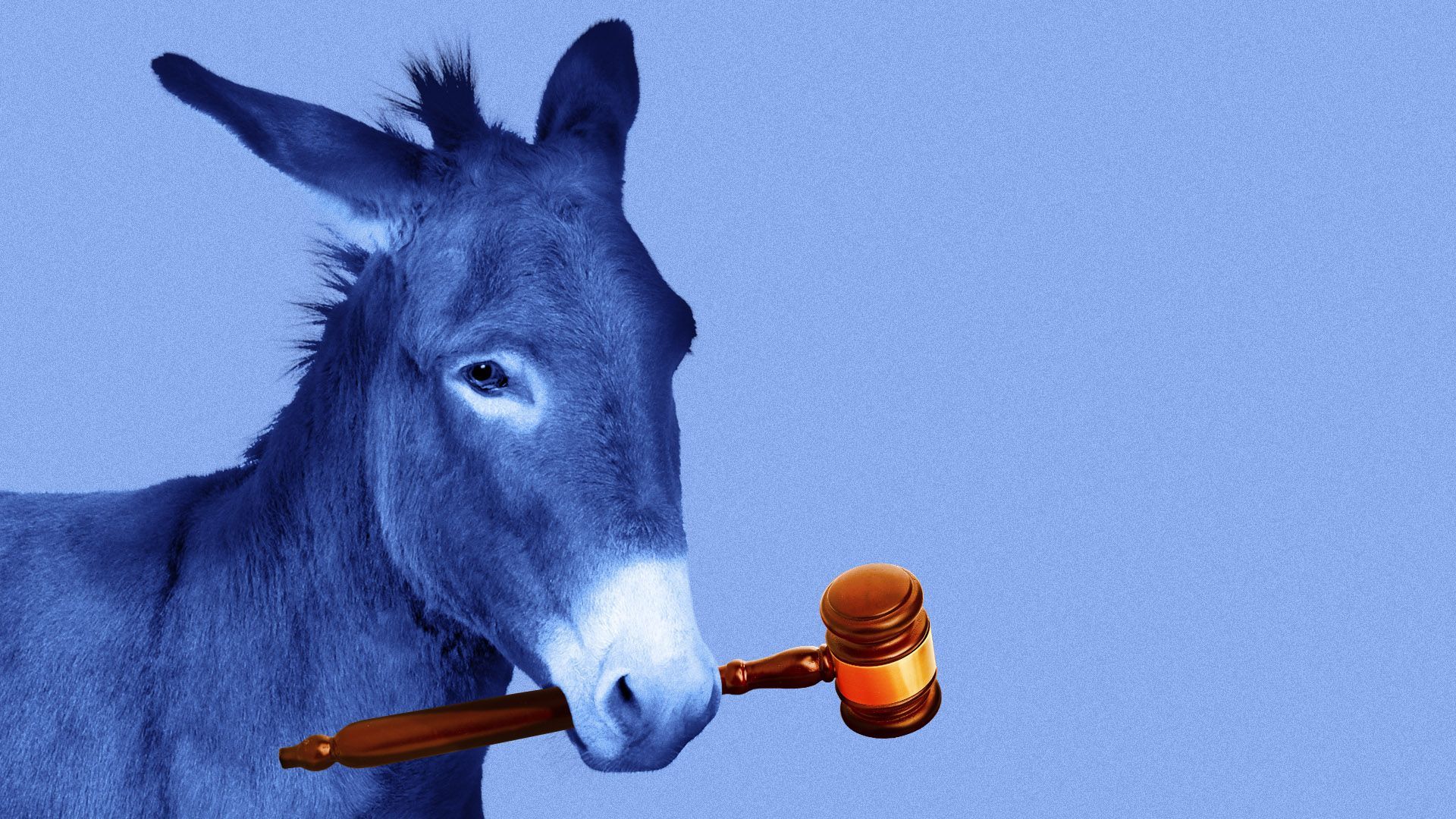 Illustration of a donkey with a gavel in its mouth