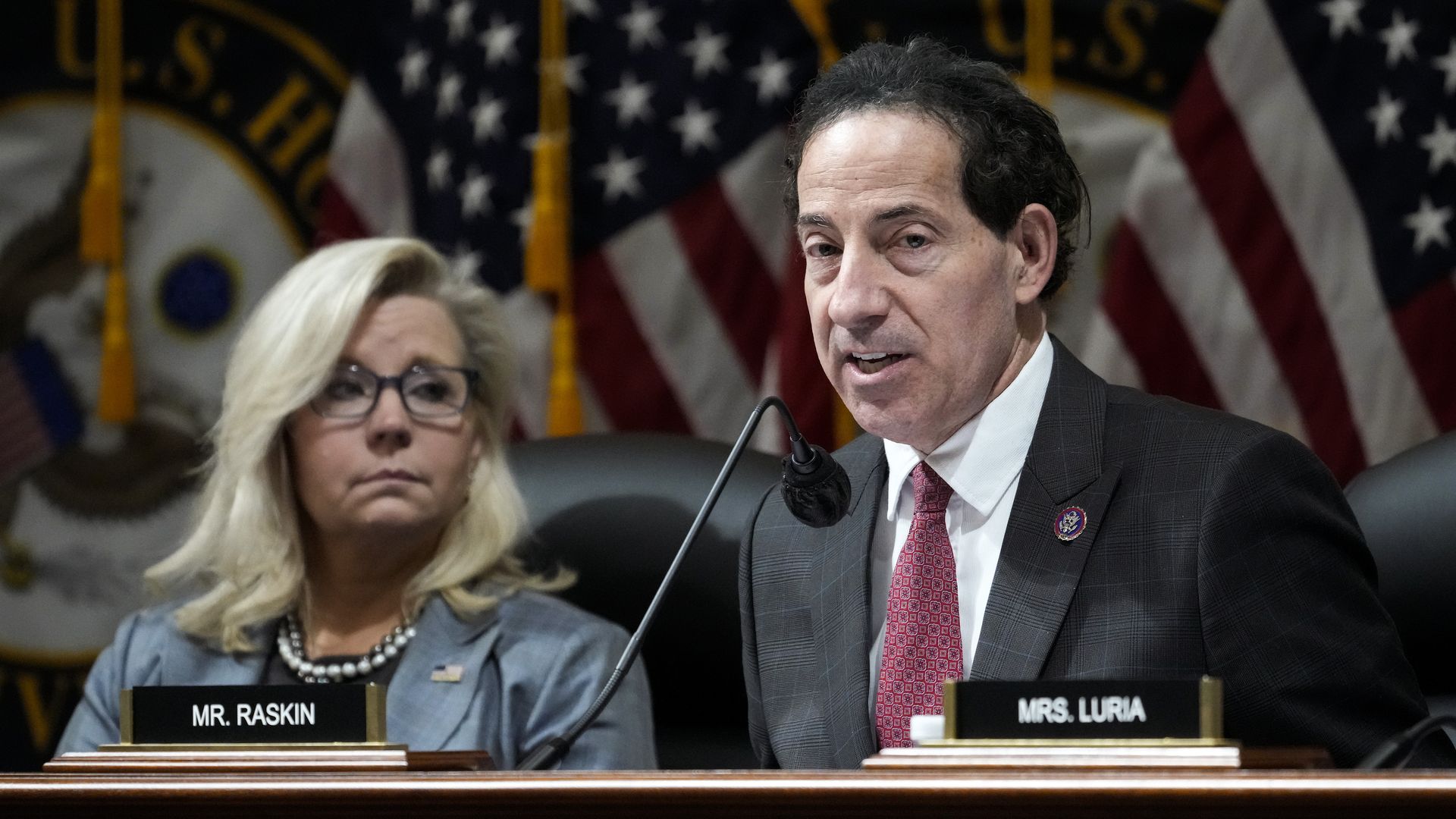 Liz Cheney and jamie raskin