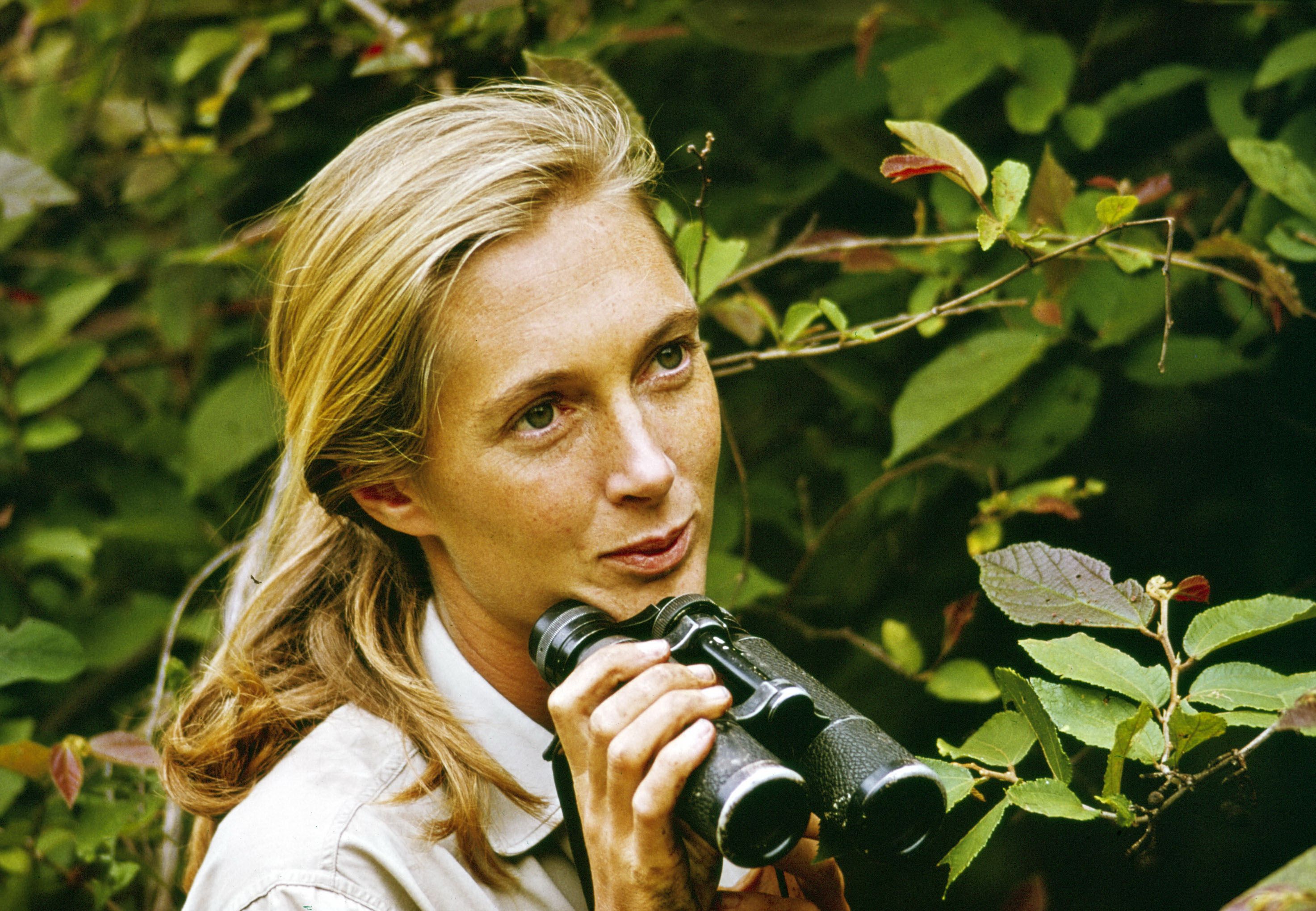 Young woman with binoculars