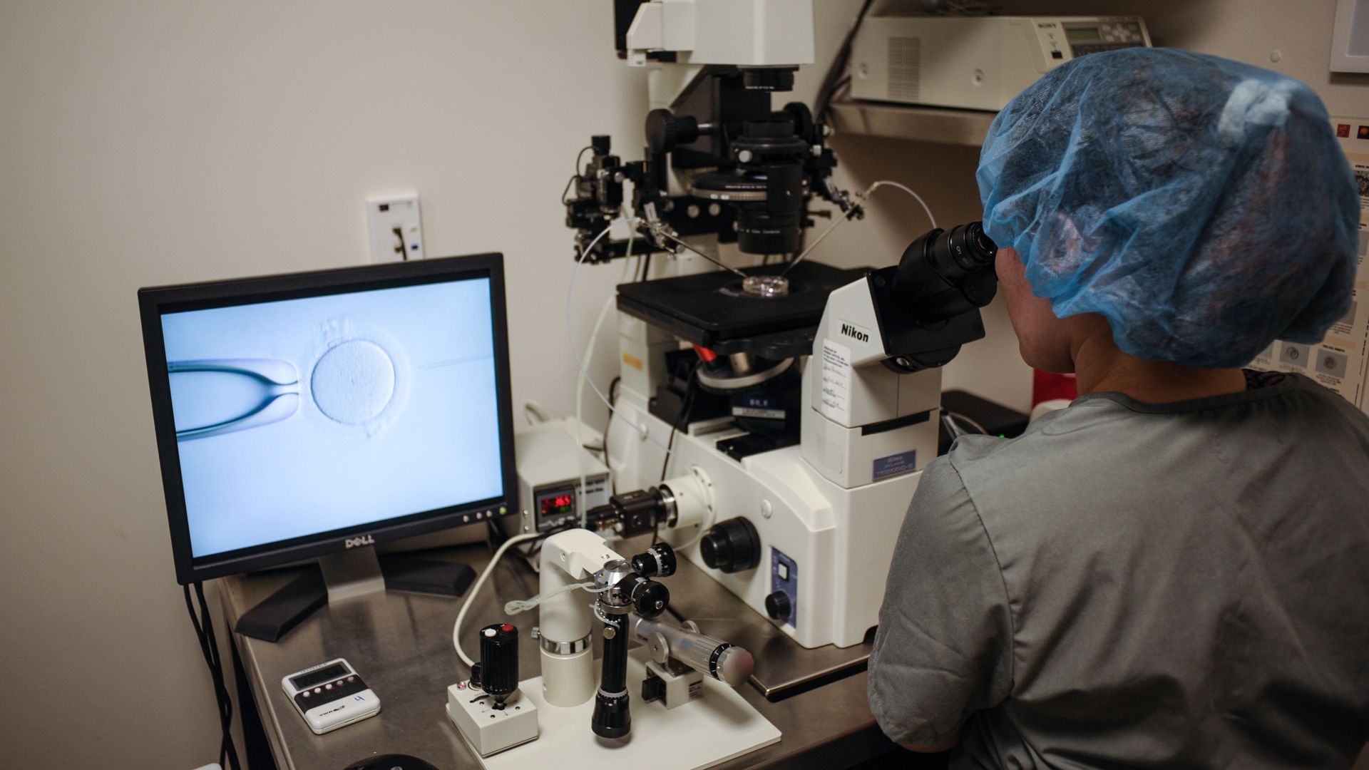 An embryologist is seen at work