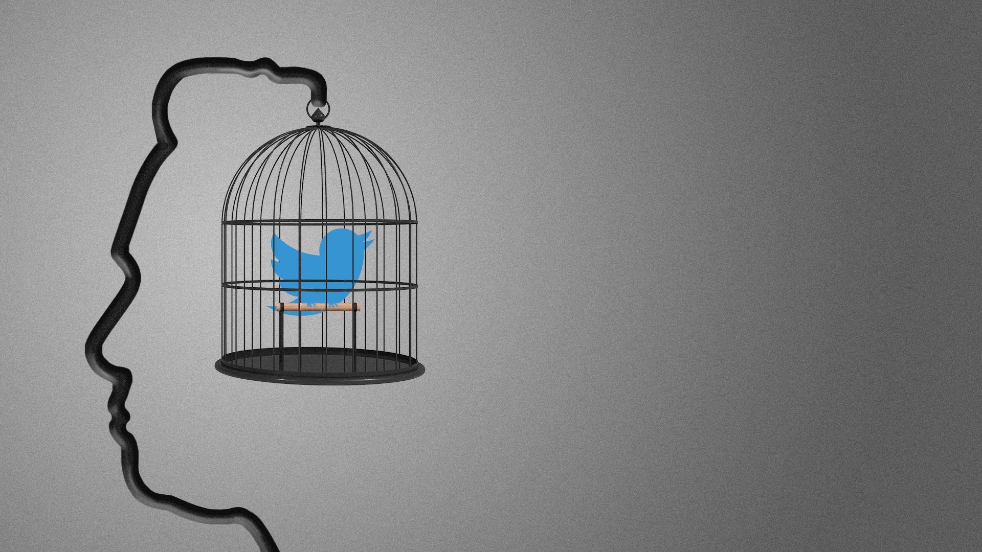 Bird Cage Twitter Cover