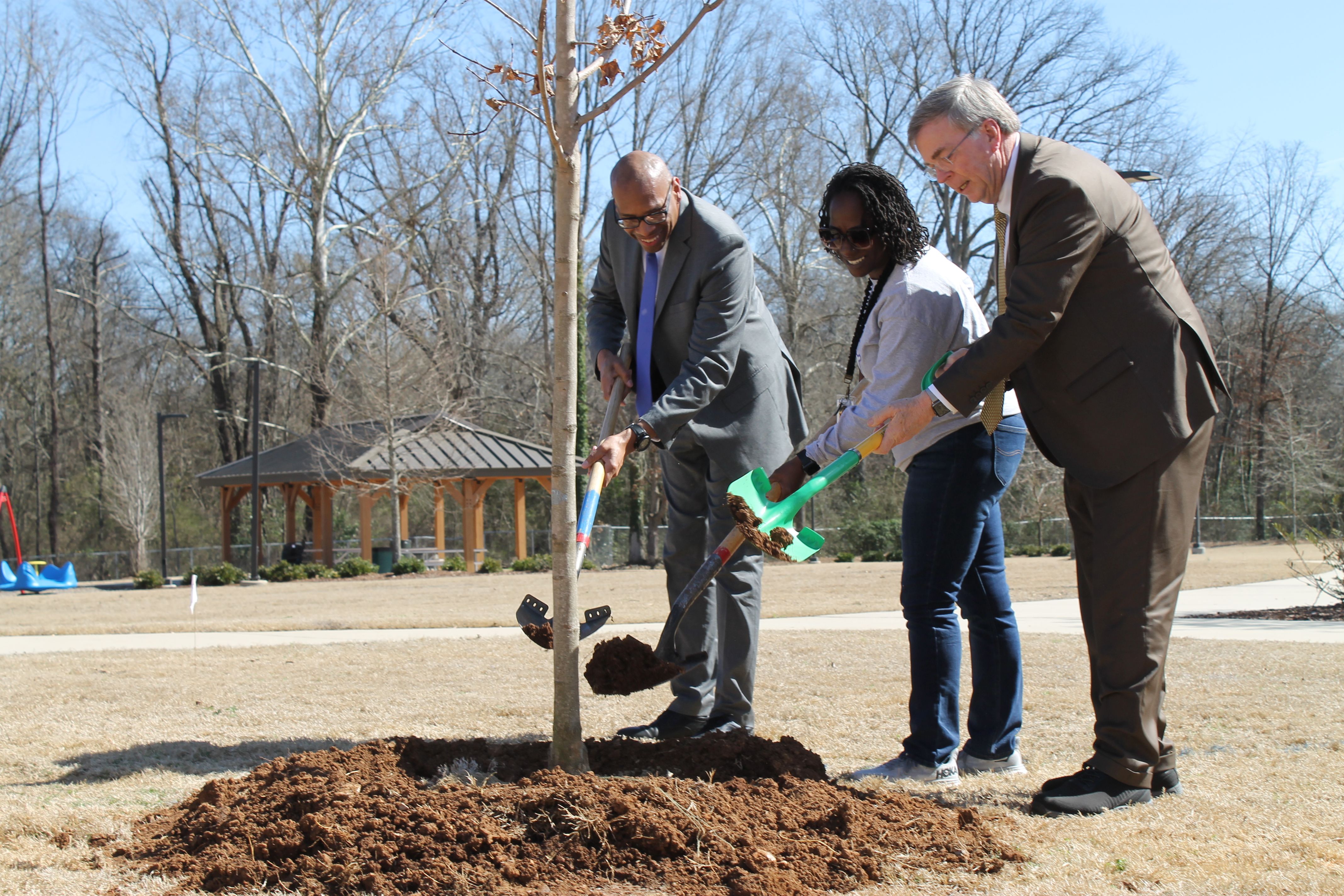 Three people in a park planting a young tree, two men in suits and a woman in casual clothing, shoveling soil around the tree on a sunny day with bare trees in the background.