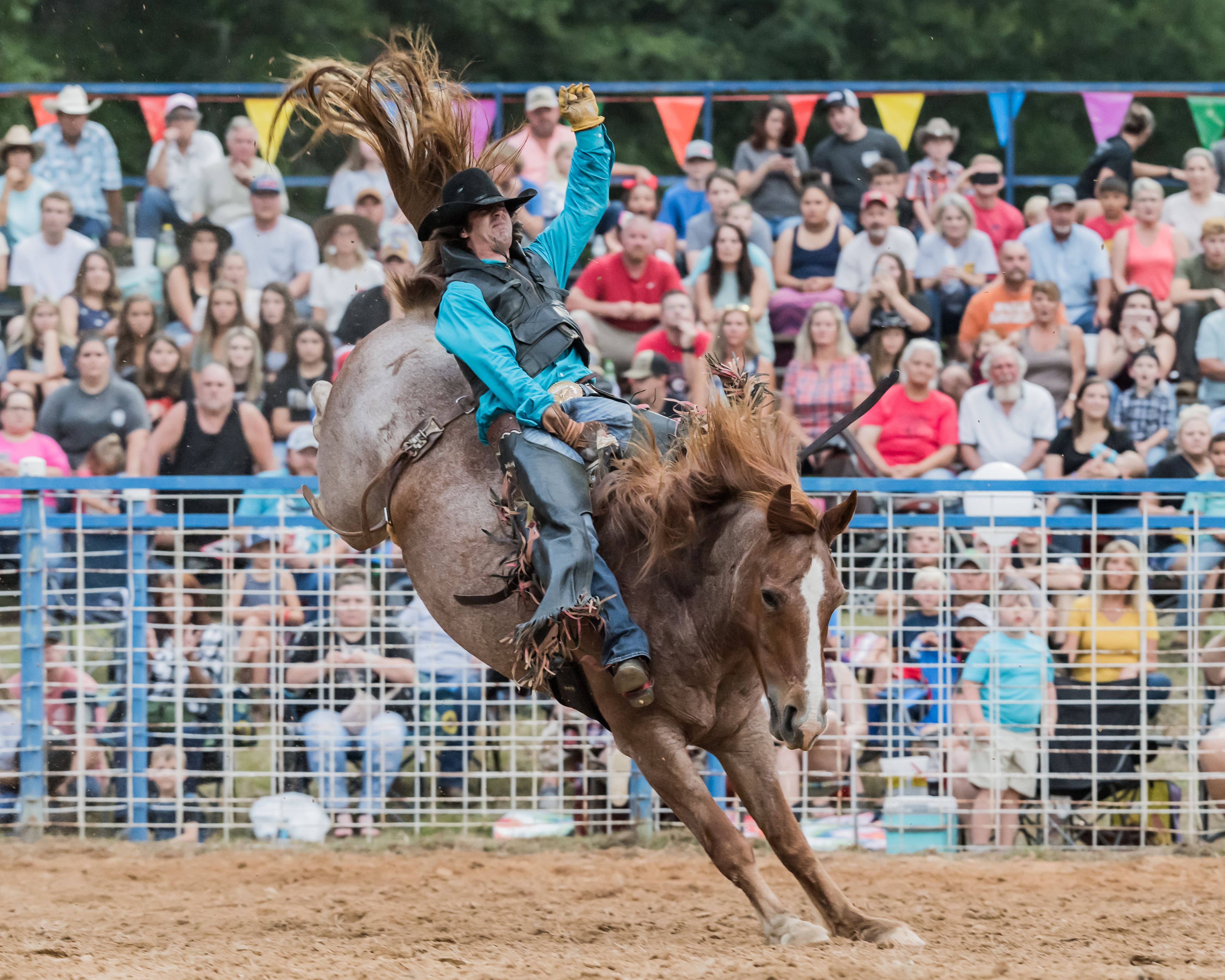 Shady Dale Rodeo returns east of Atlanta - Axios Atlanta