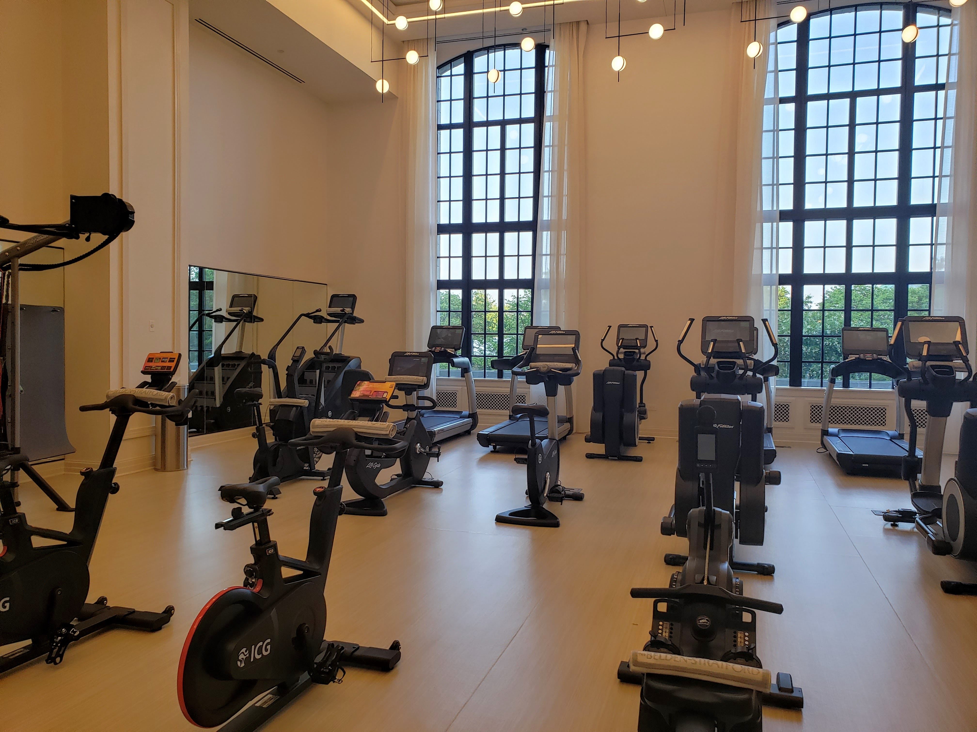 Ellipticals and treadmills stand in a row, facing two large floor-to-ceiling grid windows.