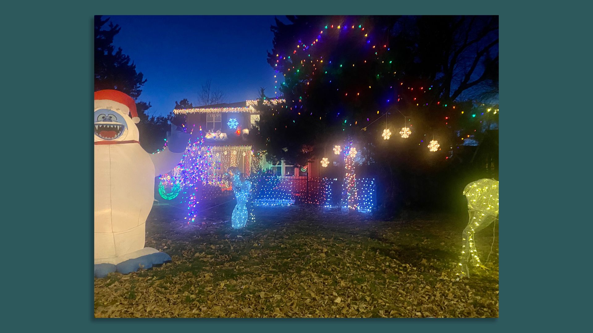 Denver's Hale neighborhood. House with Christmas lights.