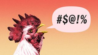 Illustration of a rooster, with a word balloon coming out of its mouth with swearing-substitute symbols in it.