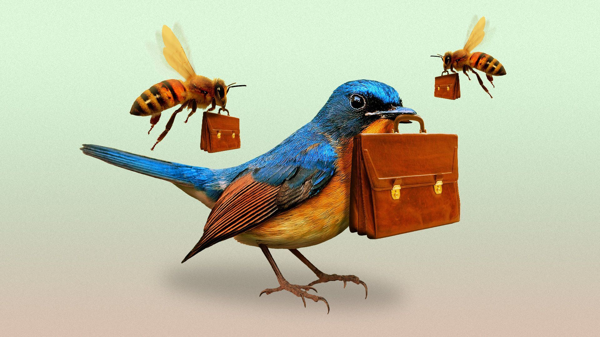 Illustration of a bird and two bees all holding briefcases
