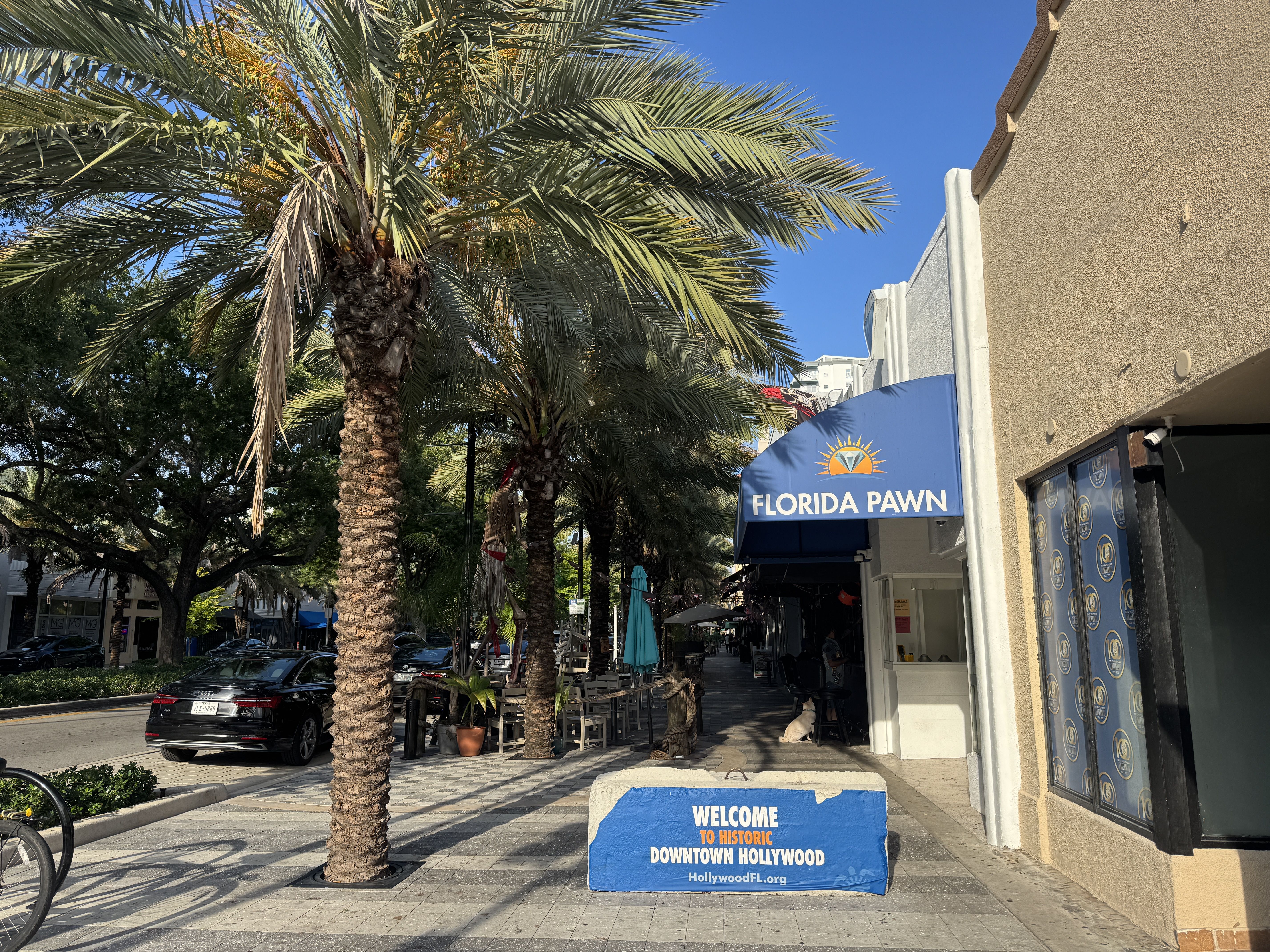 axios.com - Naomi Feinstein - New development hasn't boosted Hollywood downtown business growth