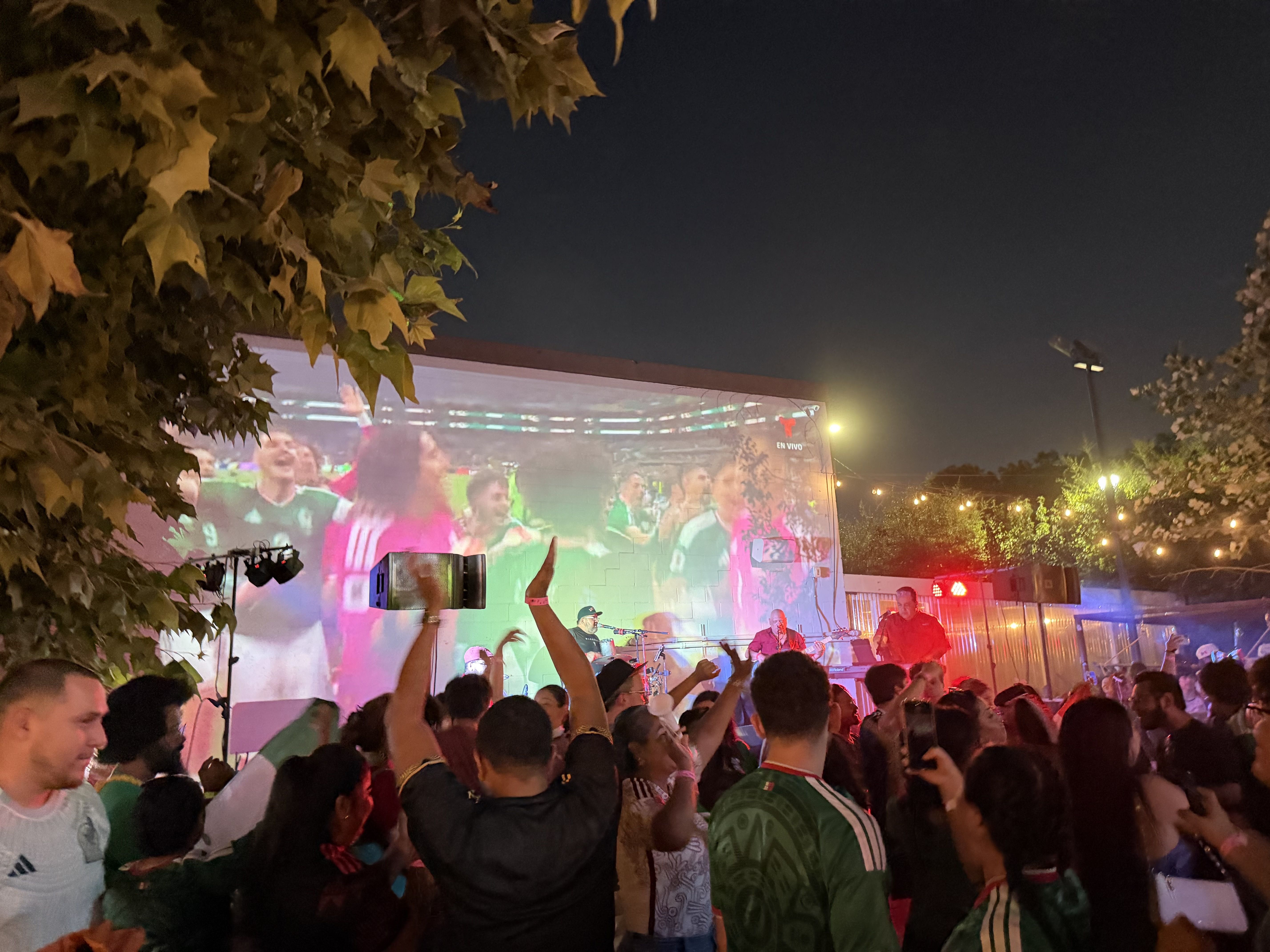 Nighttime outdoor concert viewed through a leafy tree on the left. A large colorful screen shows cheering fans, while the crowd raises hands amid stage lights and festive atmosphere.
