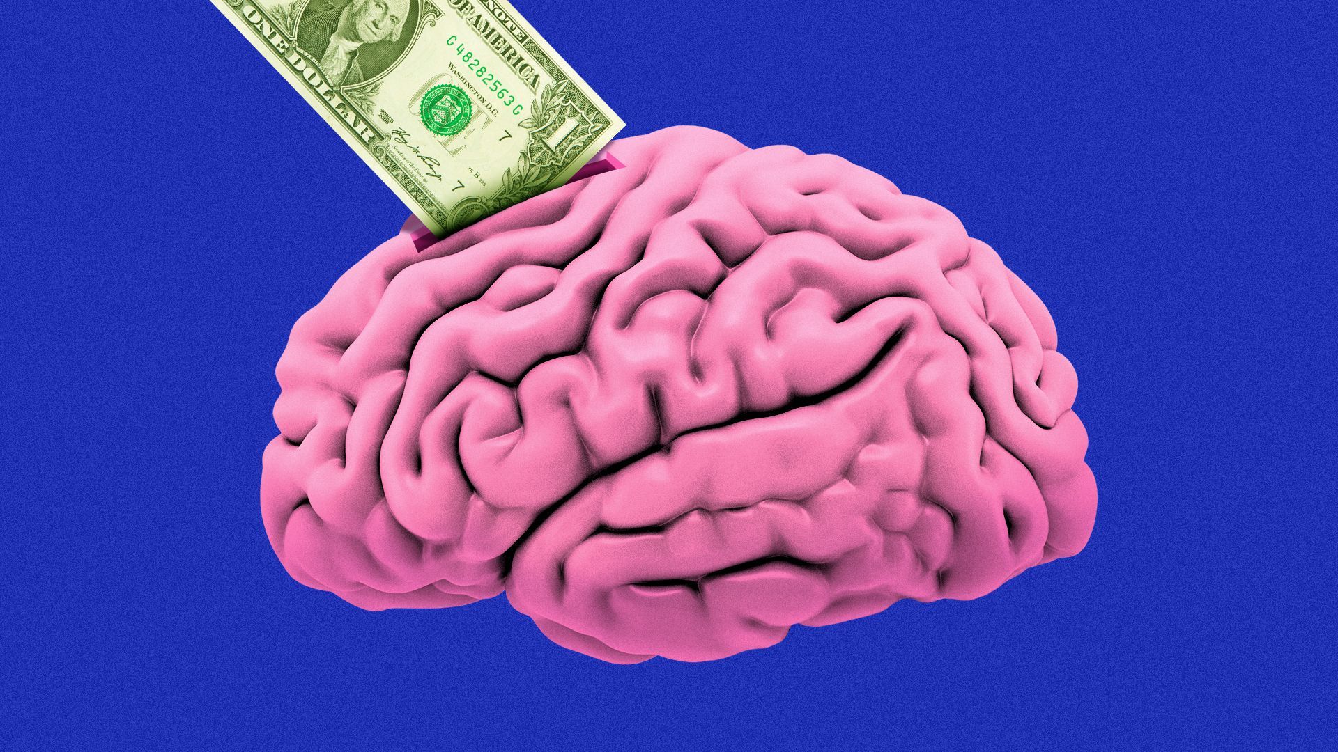 Illustration of a piggy bank-like brain with a dollar going inside