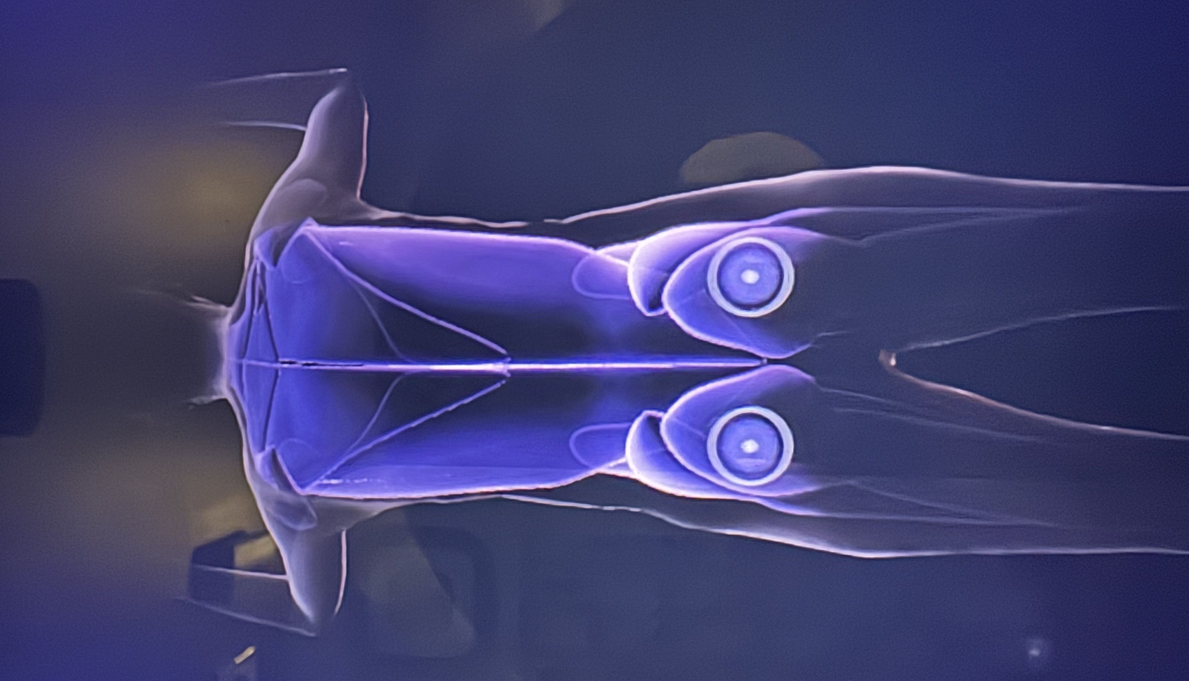 The digital screen shows a purple 