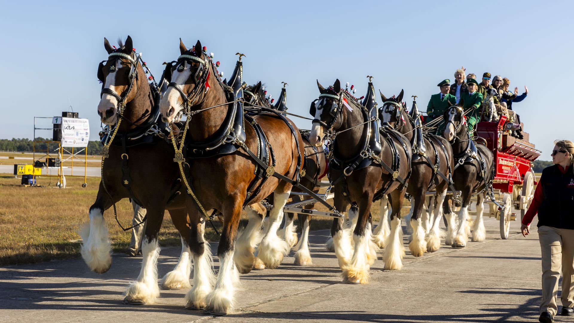 several horses pulling a cart