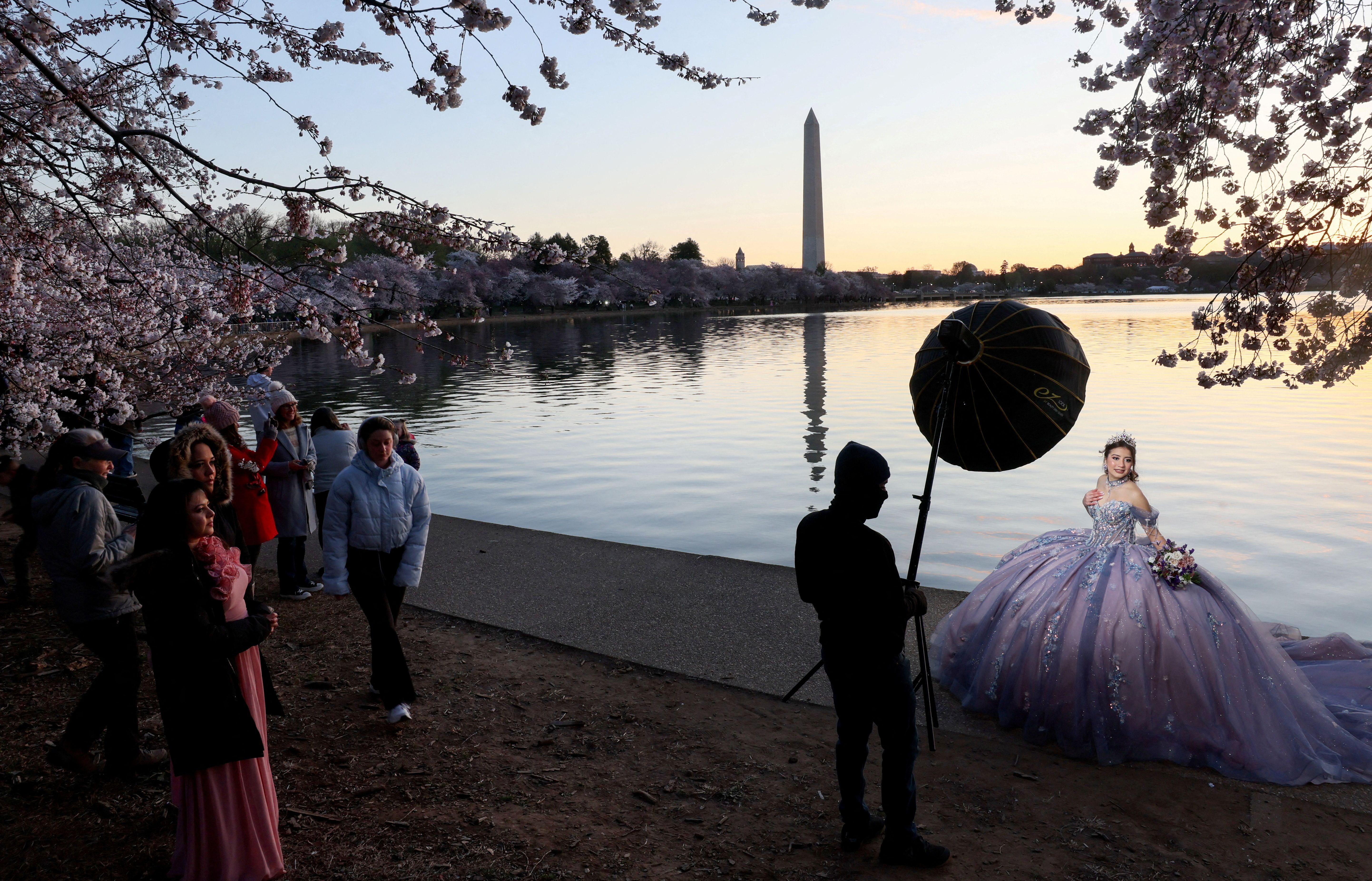 Ashley Paredes, 14, gets her quinceañera photos taken among the cherry blossoms as the sun rises at the Tidal Basin in Washington, D.C., U.S., March 27, 2025. Photo: Leah Millis/Reuters