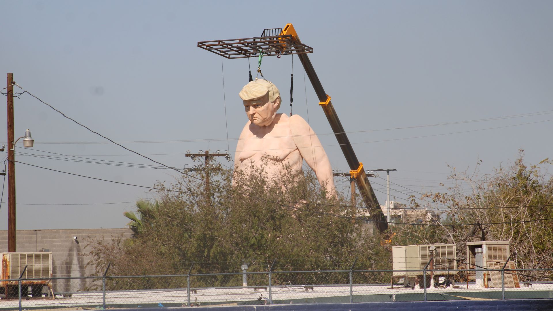 A large statue of a nude Donald Trump suspended from a crane and with trees blocking the view from below the waist.