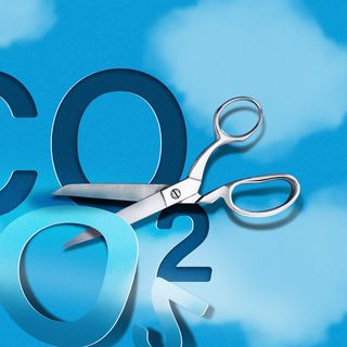 Exclusive: JPMorgan strikes carbon removal deal that doubles as wildfire prevention