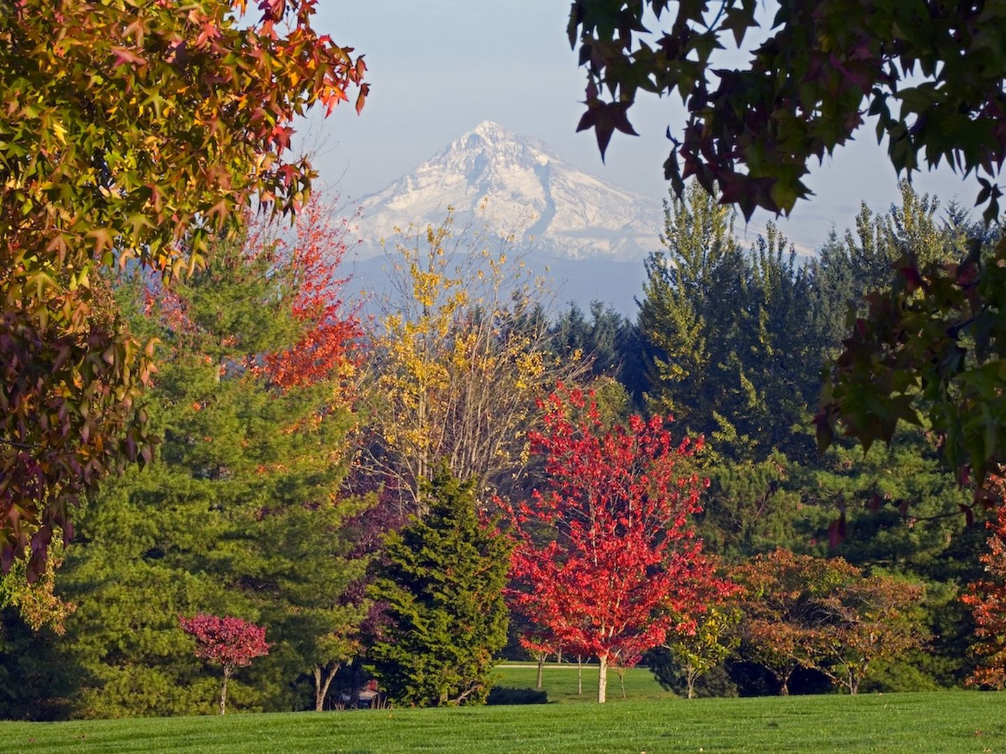 When and where to see peak fall foliage in Portland - Axios Portland, image size:1440x1080