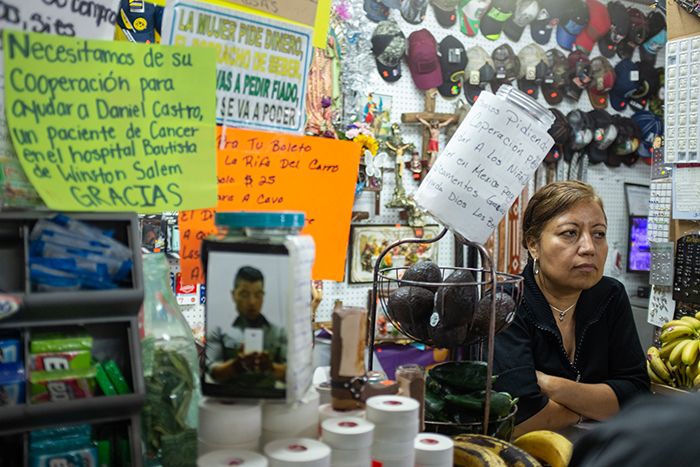 Manolo Christmas Trees Rosalba Caro