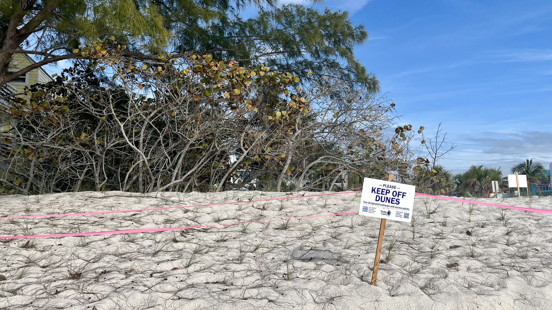 Sandy dunes blocked off with pink tape and a sign that says "KEEP OFF DUNES."