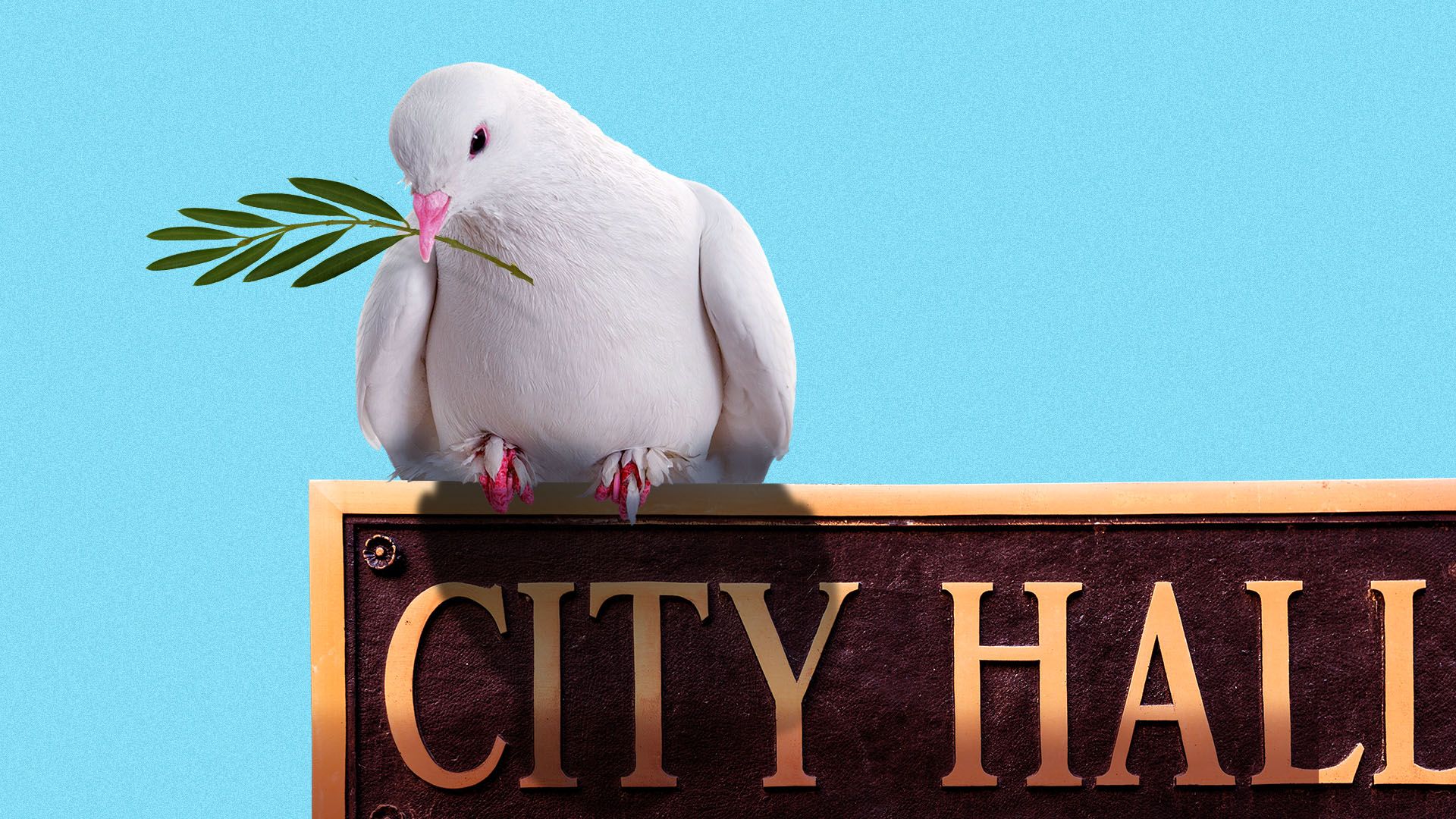 Illustration of a dove with an olive branch sitting on a sign that reads City Hall