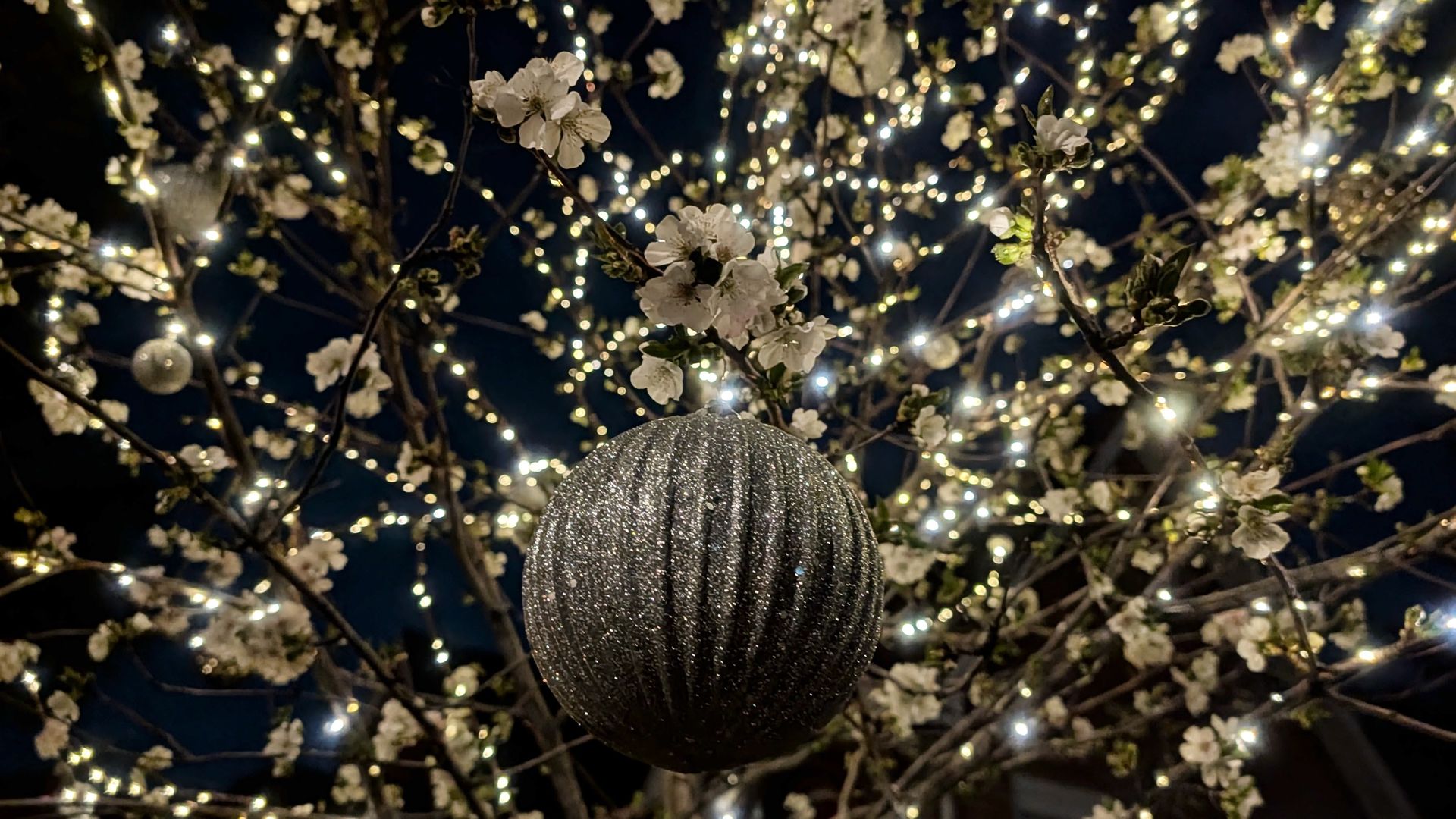 A christmas tree ornament and lights on a blossoming cherry tree