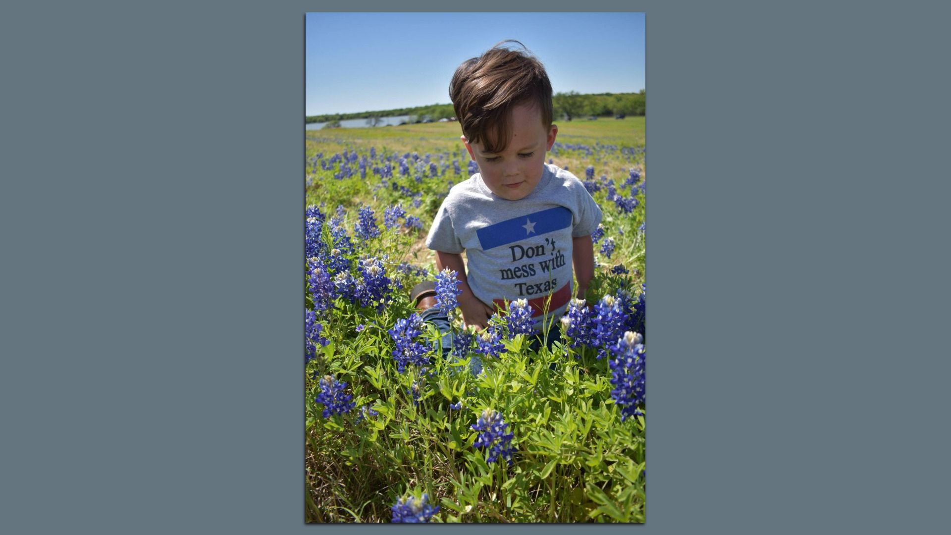 A young child with brown hair in a gray T-shirt that reads "Don't mess with Texas" stands among bluebonnets in a sunny field under a clear blue sky.