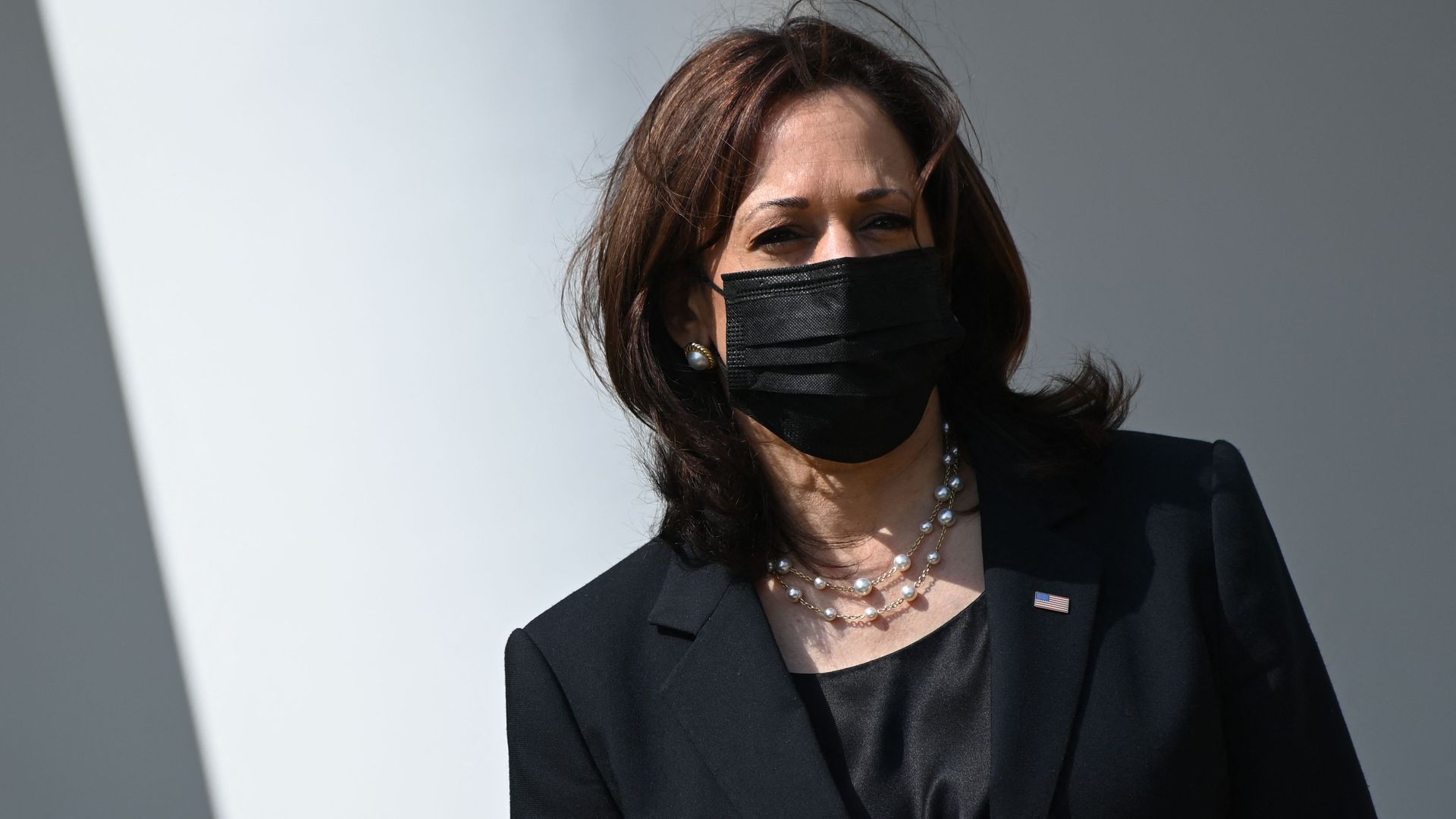 Photo of a masked Kamala harris from the chest up