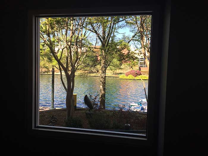 famous-toastery-university-view