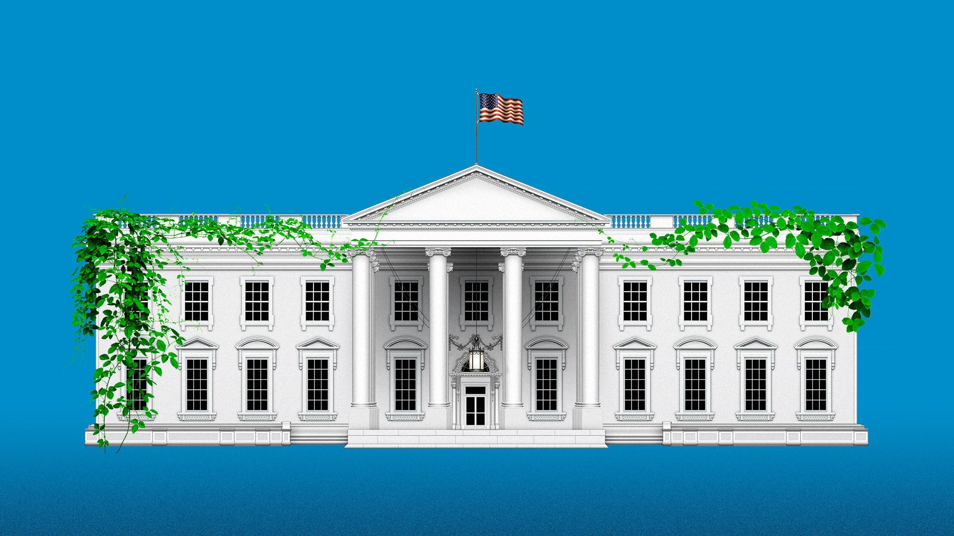 Illustration of the White House covered in vines.  