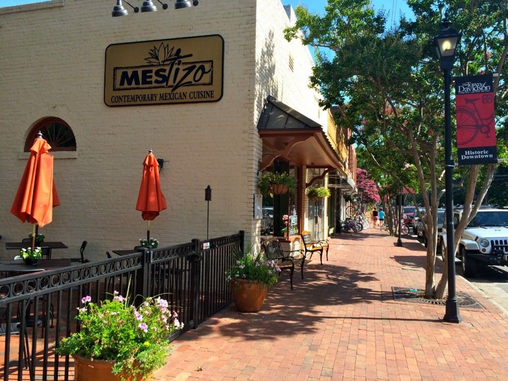 Mestizo Davidson NC