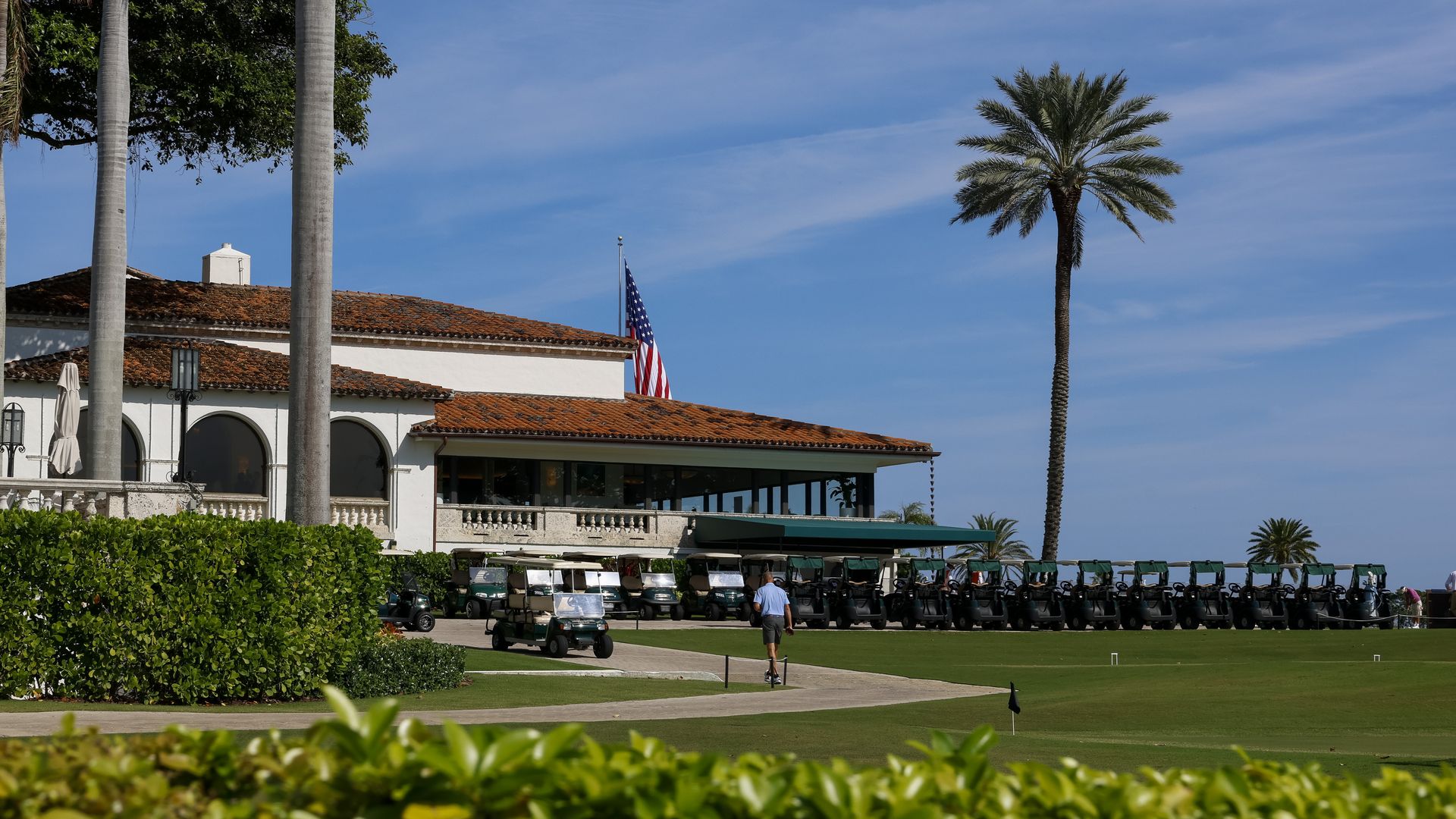 Image of a building and a large palm tree.
