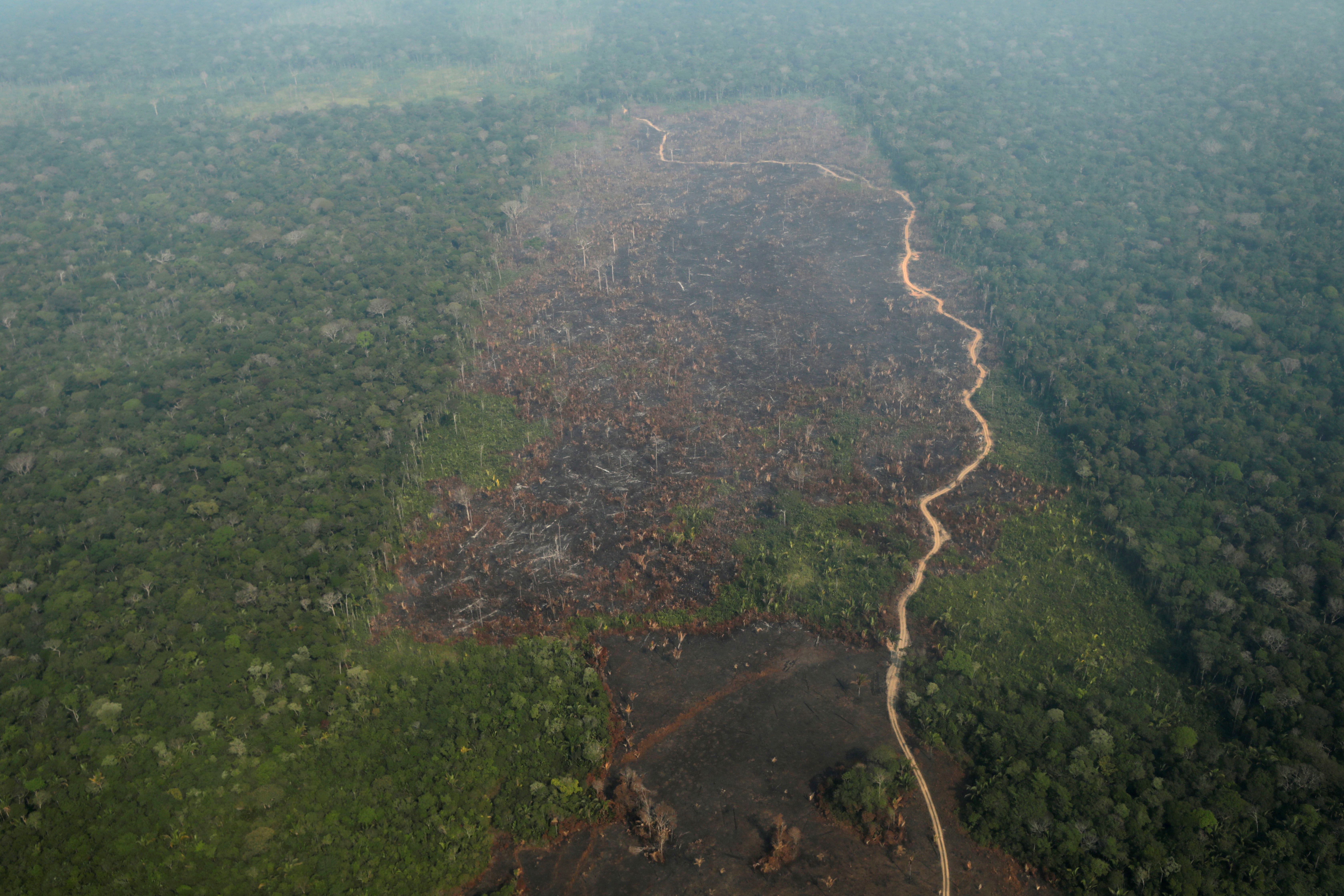 An aerial view of a deforested plot of the Amazon near Humaita, Amazonas State, Brazil