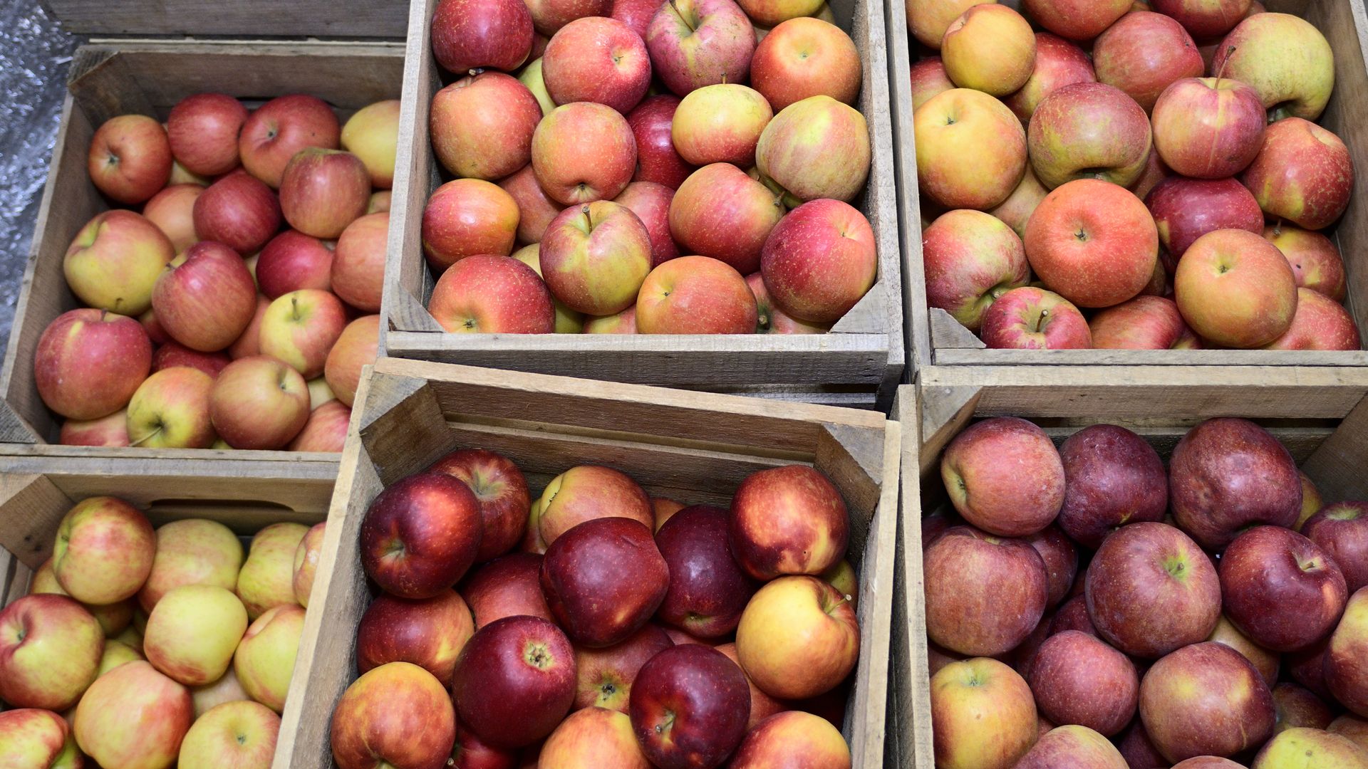 Apples