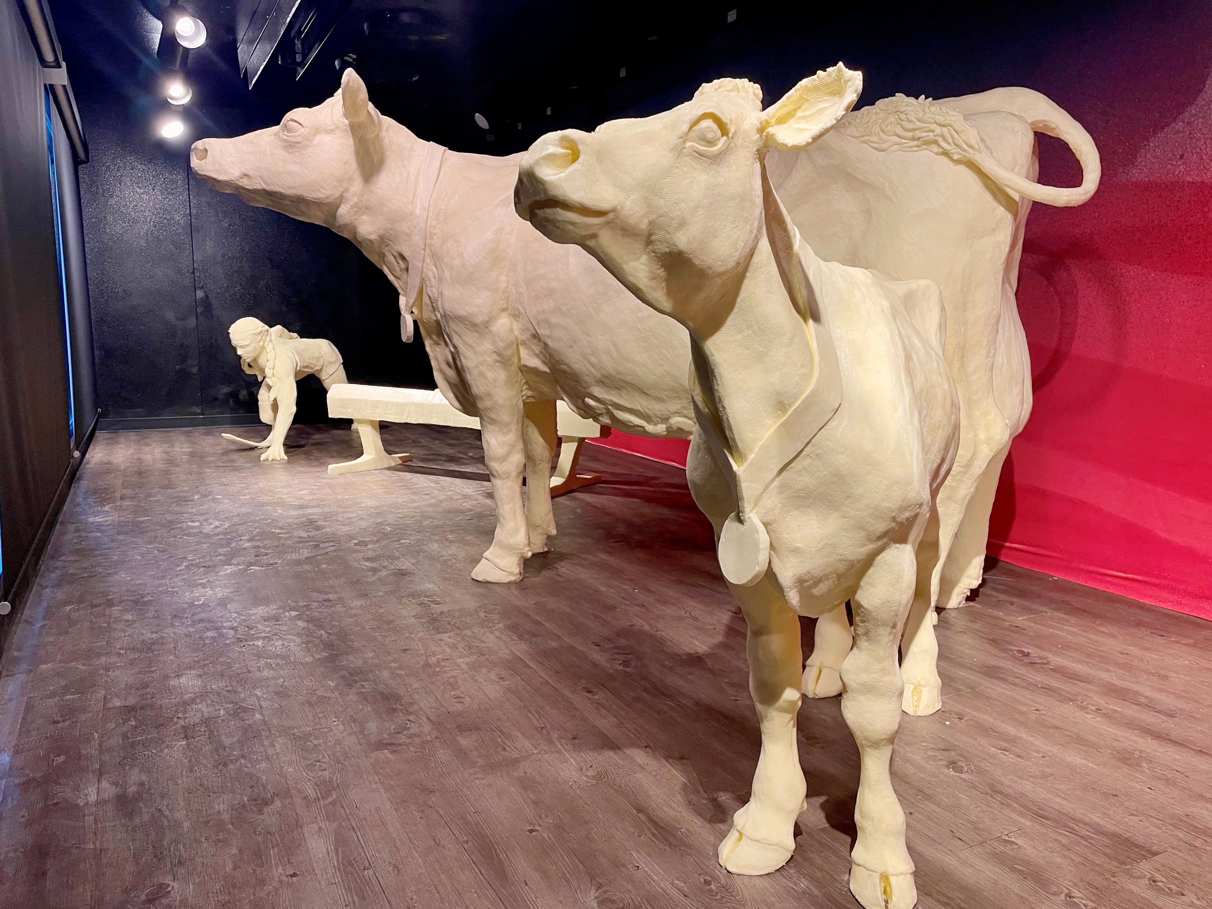 This year's butter cow and calf, wearing butter medallions